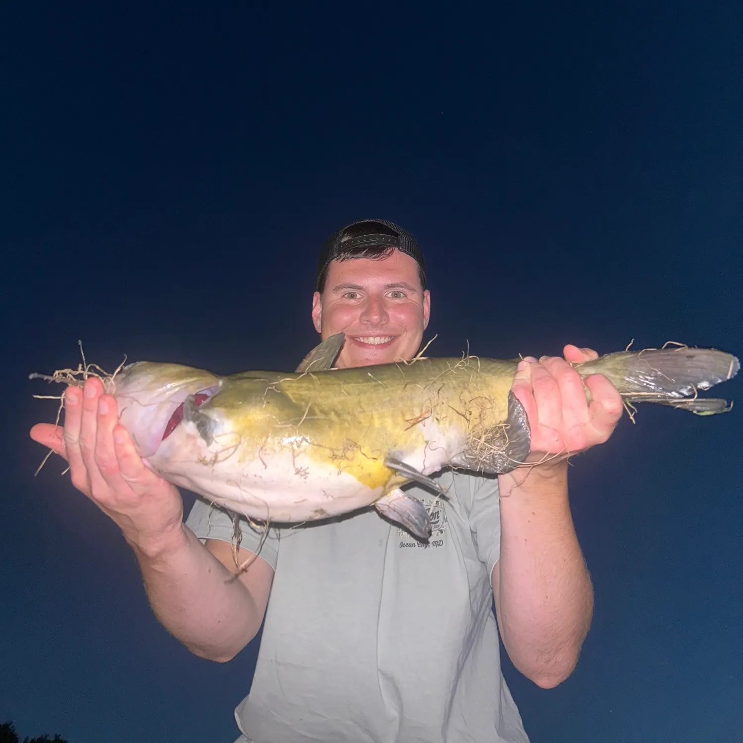 Channel catfish caught on Fishbrain