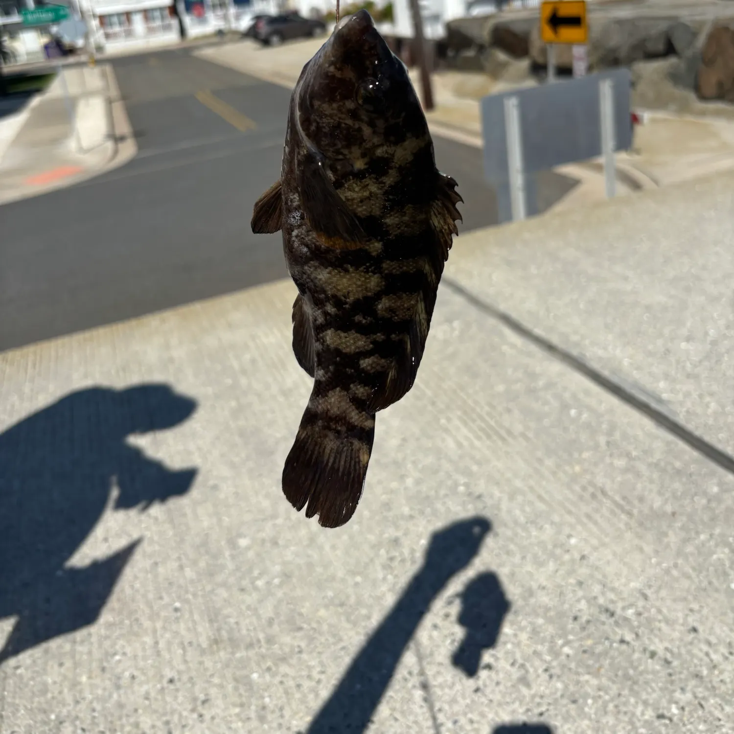 catch