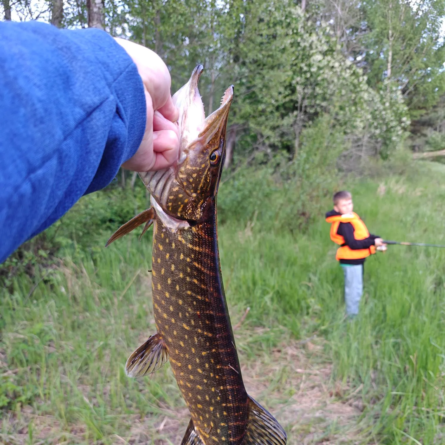 catch