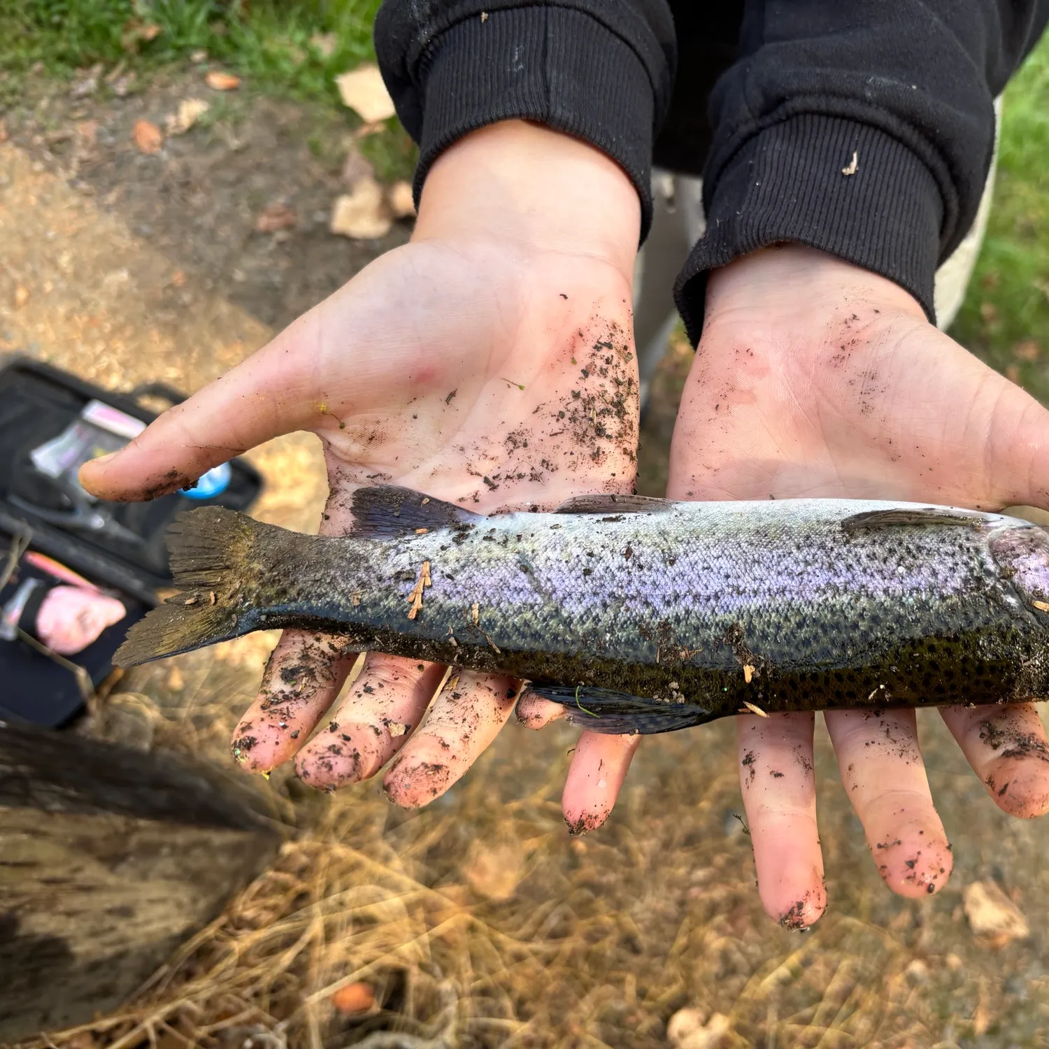 Cutbow caught on Fishbrain
