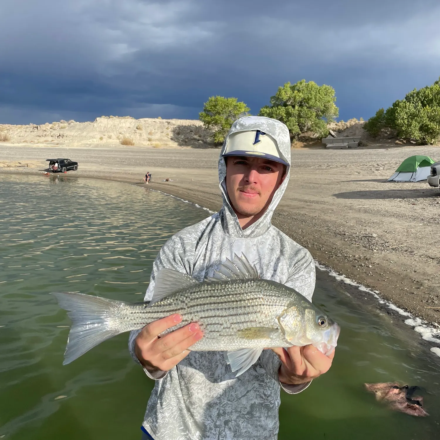 The most recent Wiper catches on Fishbrain