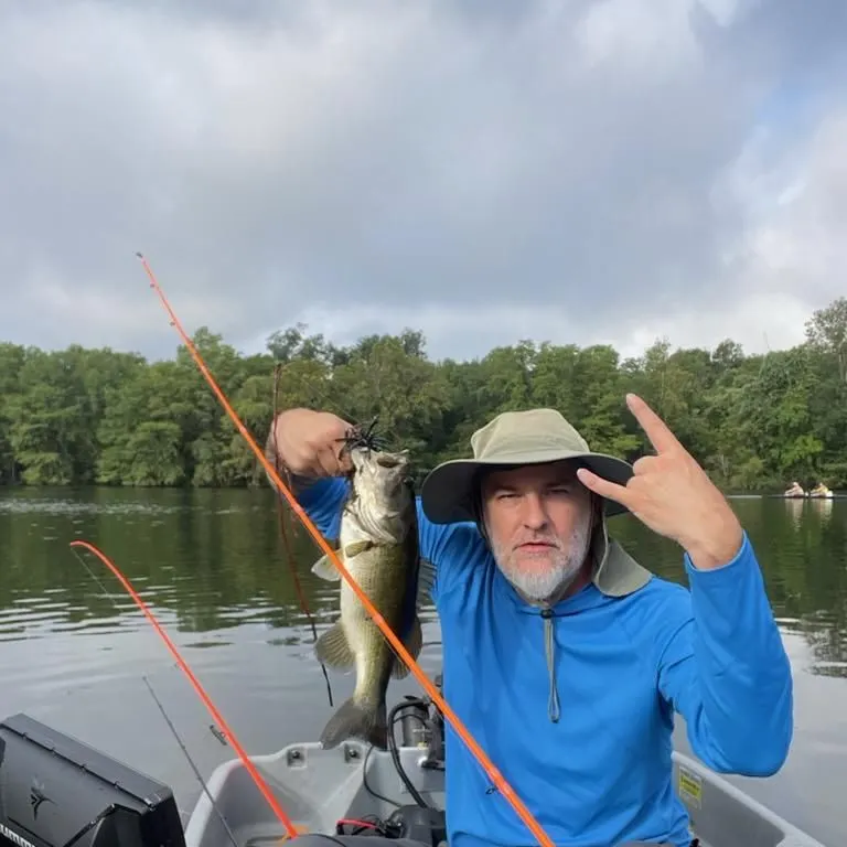 Largemouth bass caught on Fishbrain