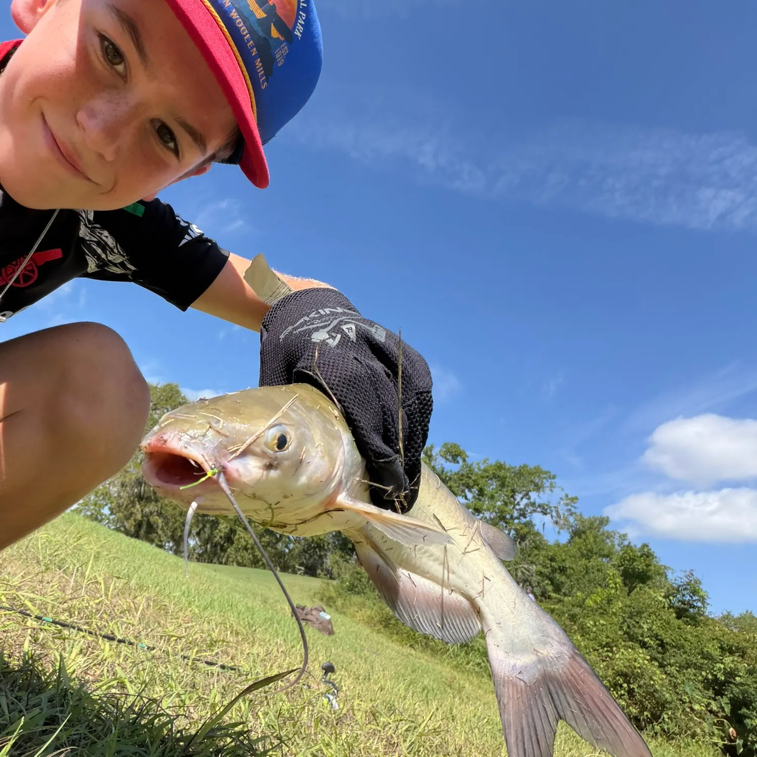 Channel catfish caught on Fishbrain
