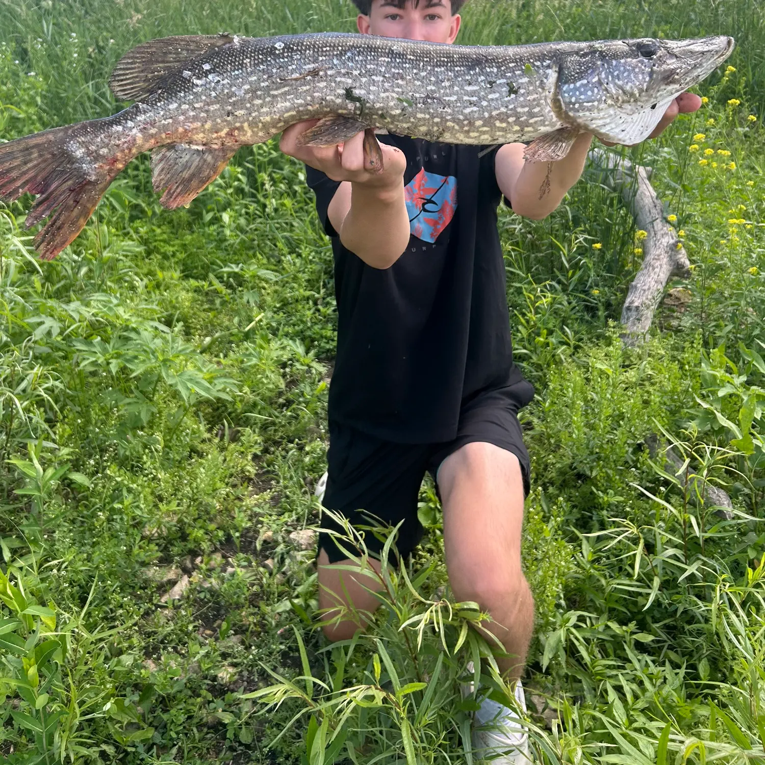 catch