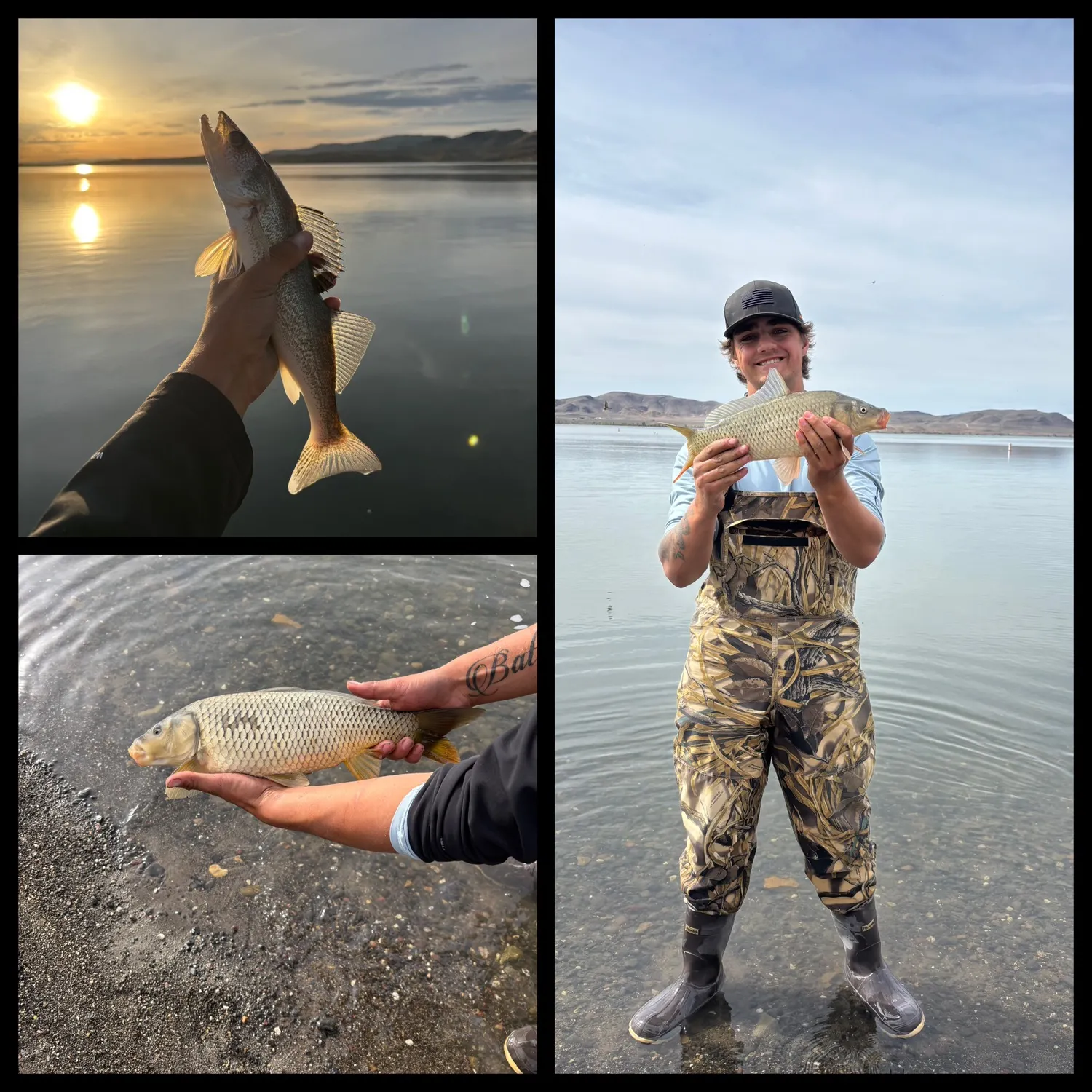 recently logged catches