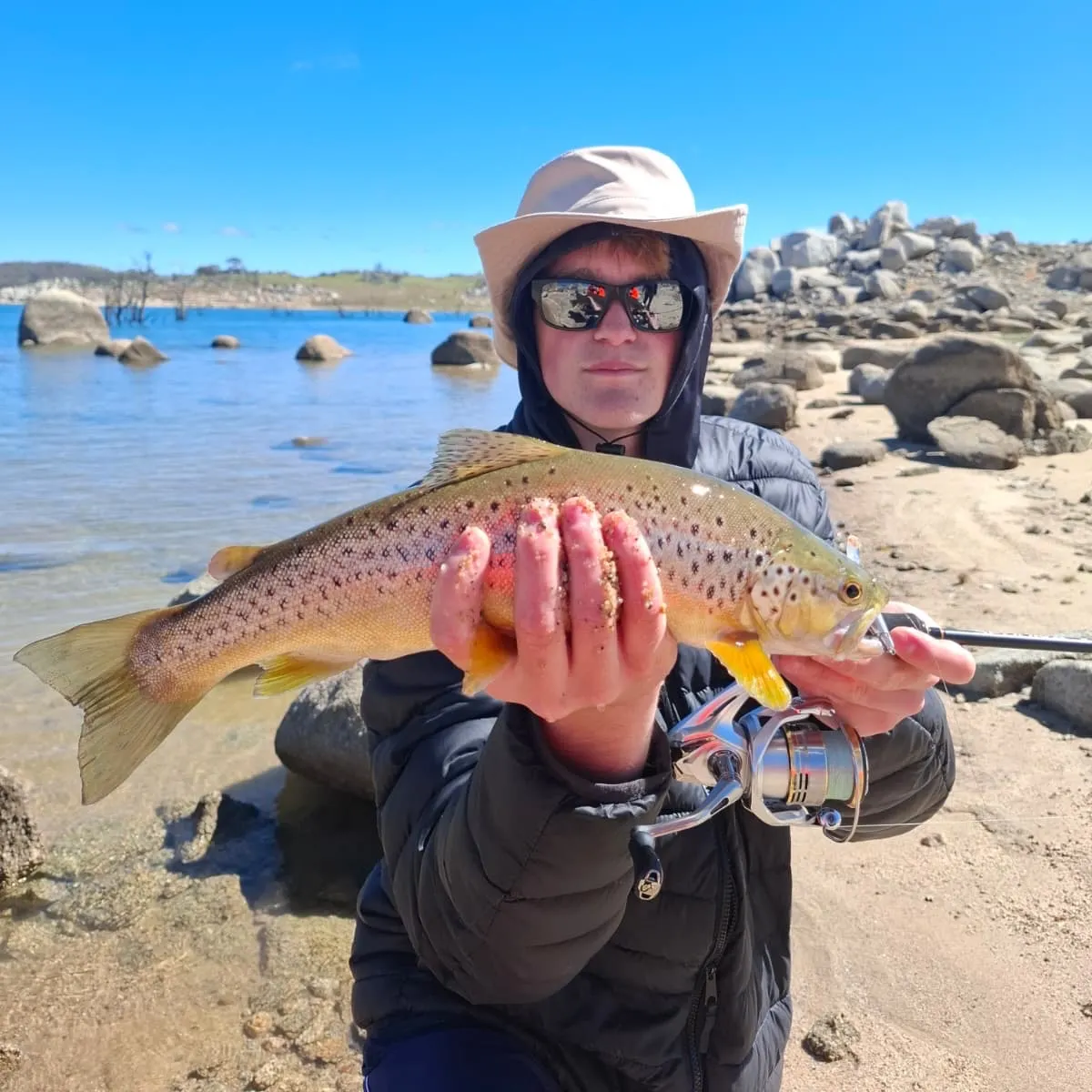 Brown trout caught on Fishbrain