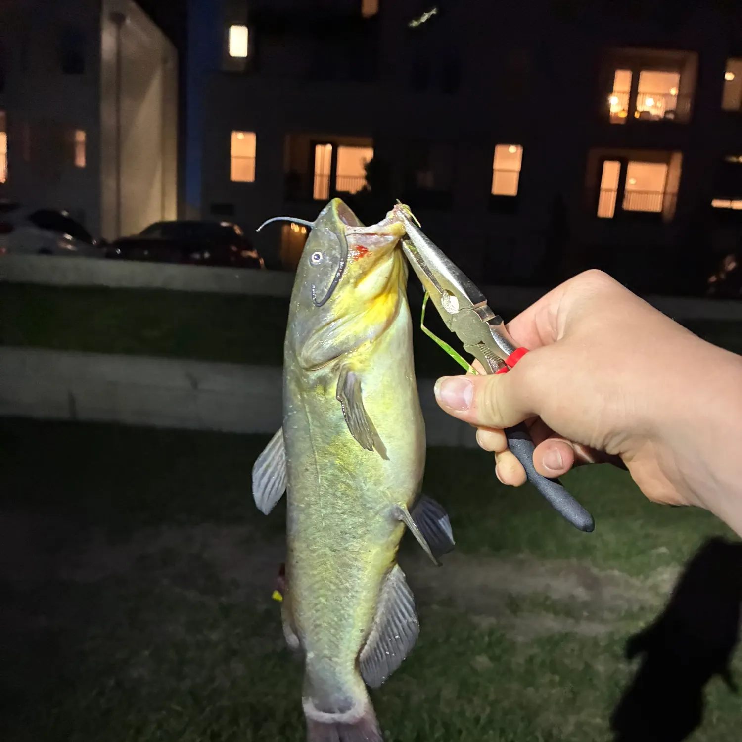 catch