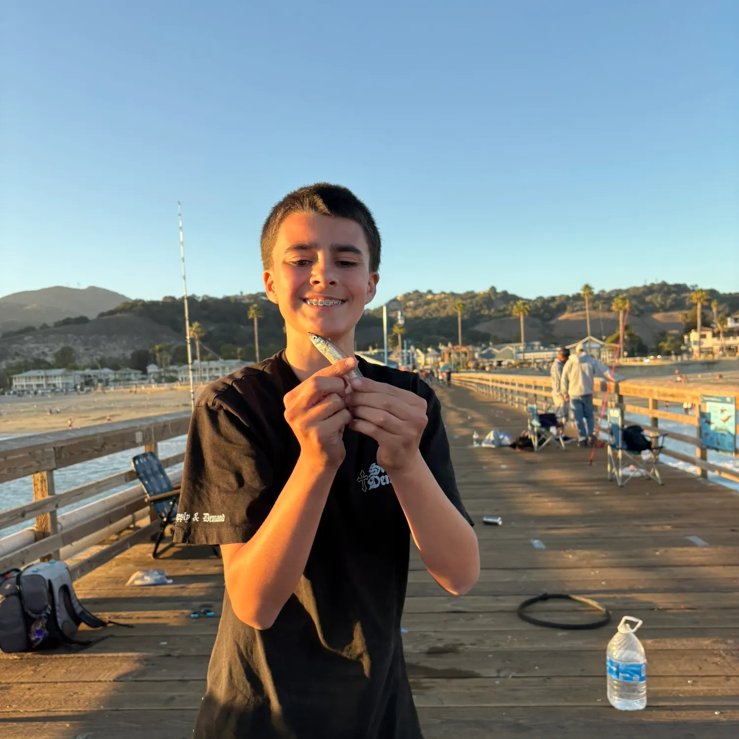 Pacific chub mackerel caught on Fishbrain