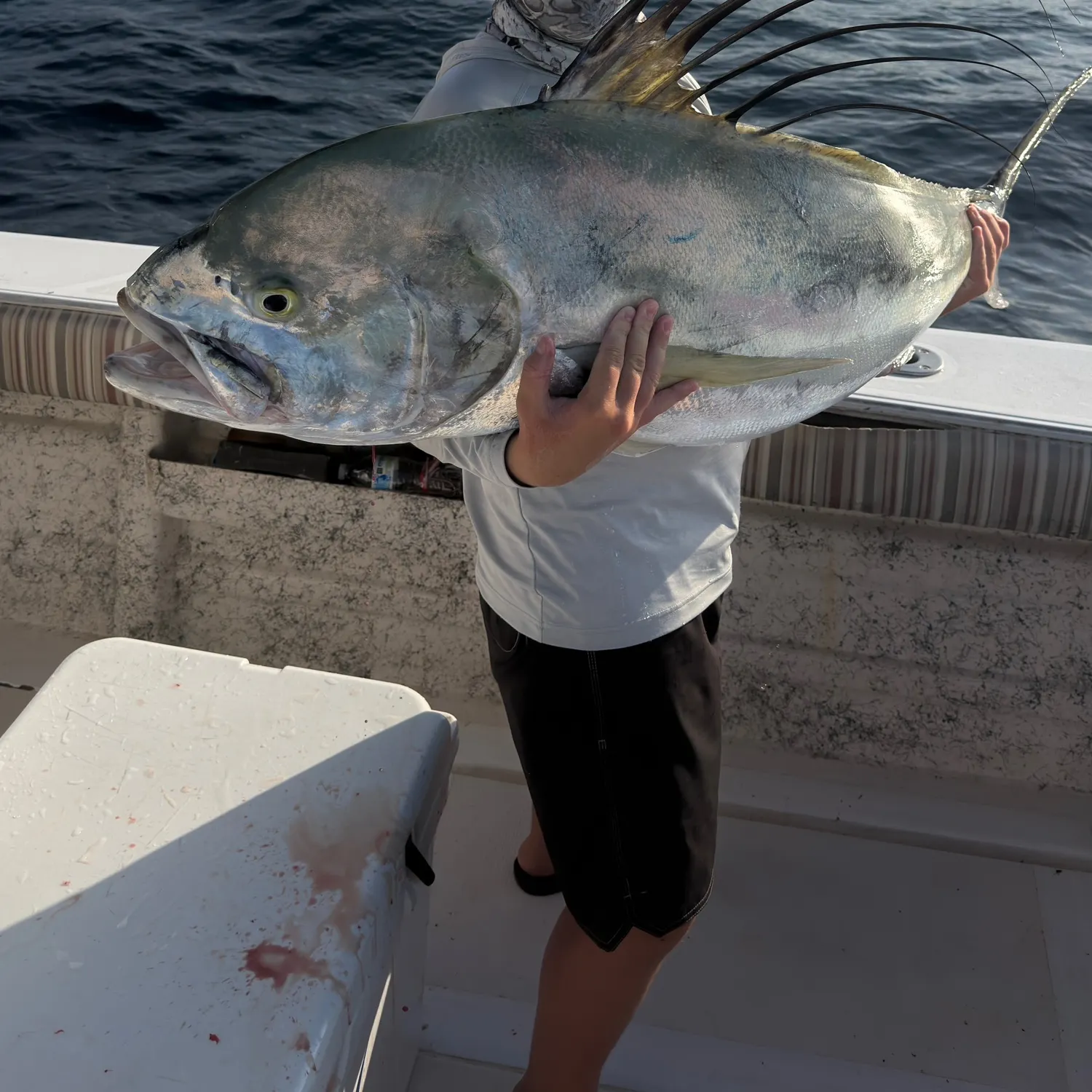 The most recent Roosterfish catches on Fishbrain