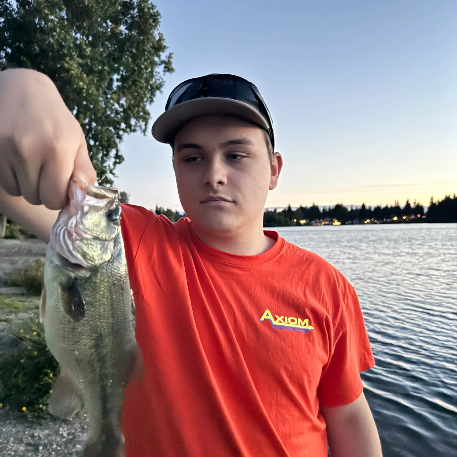 catch
