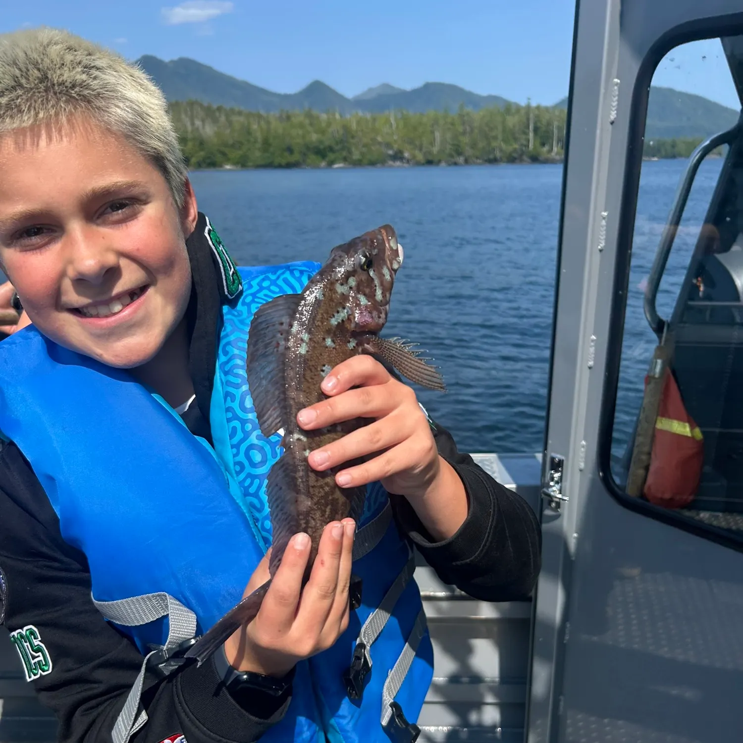 The most recent Grass rockfish catches on Fishbrain
