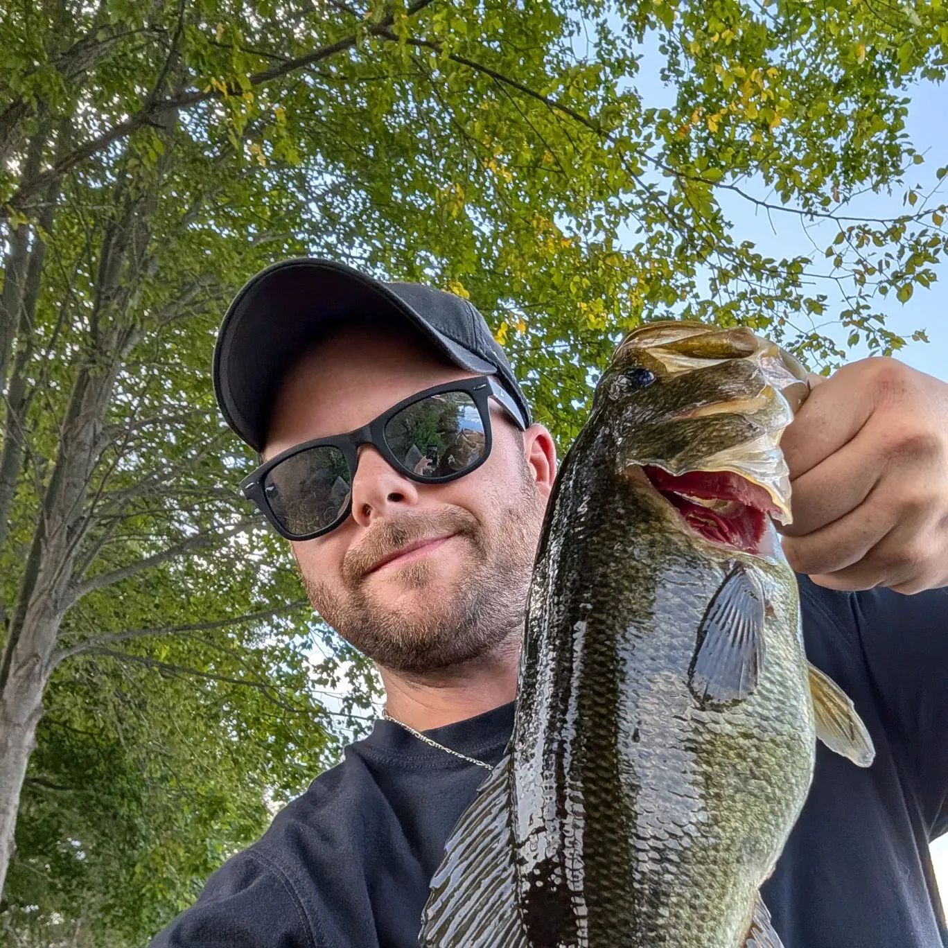 Largemouth bass caught on Fishbrain