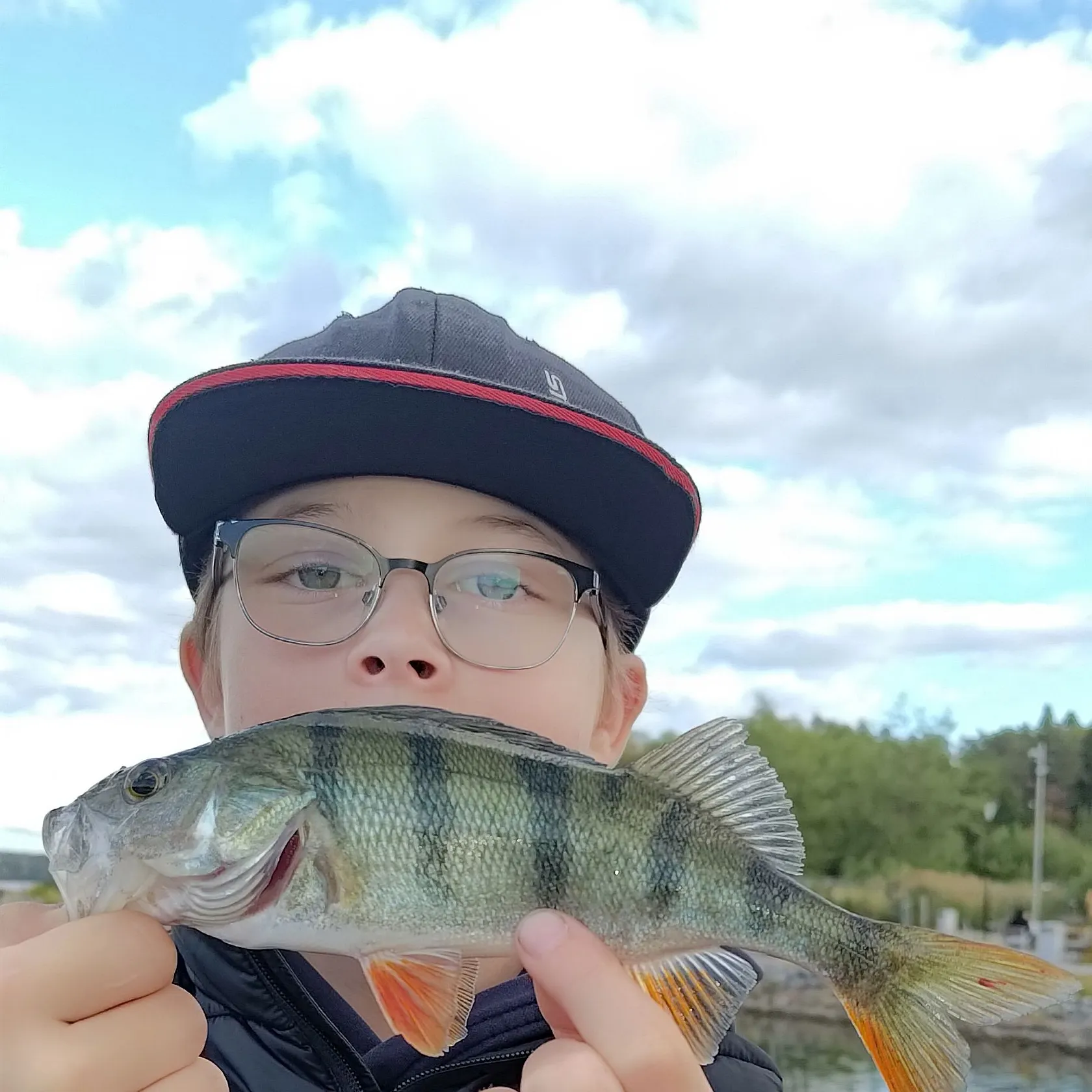 European perch caught on Fishbrain