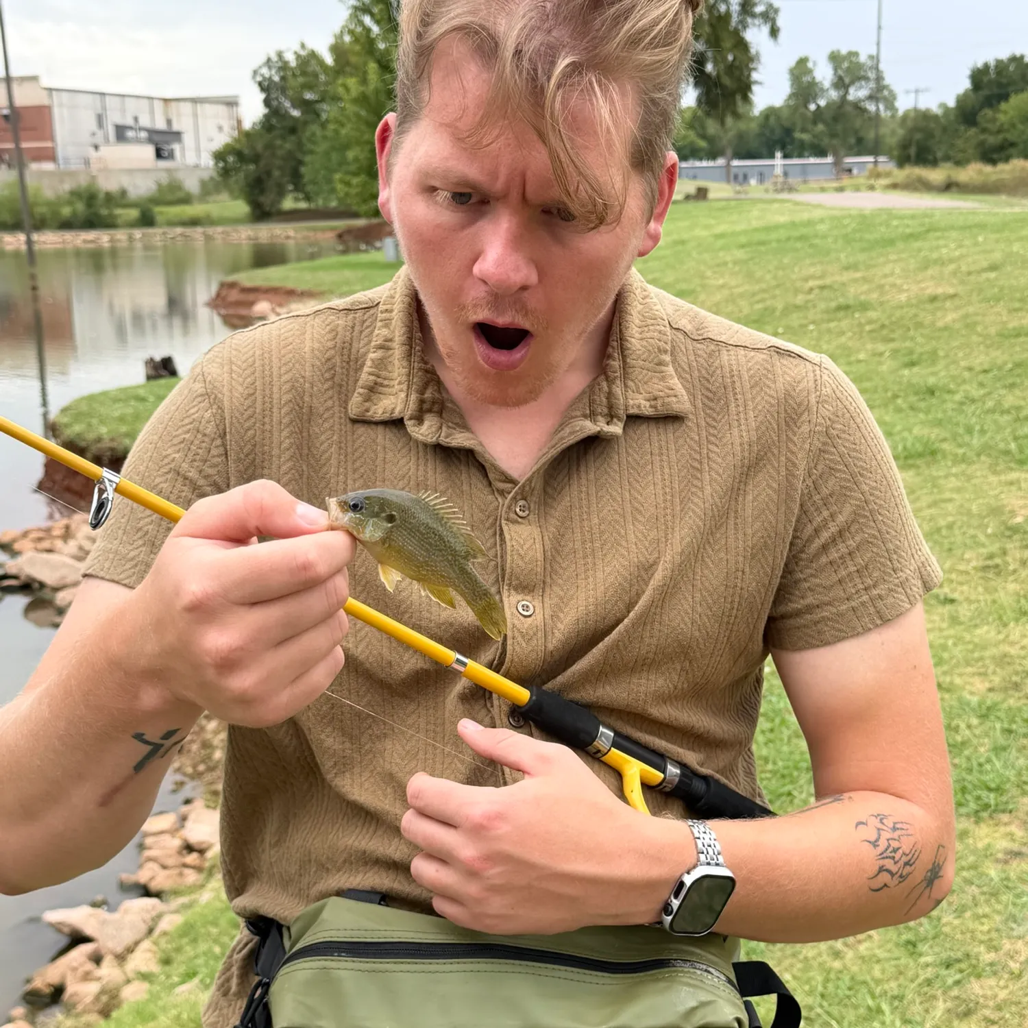 Green sunfish caught on Fishbrain