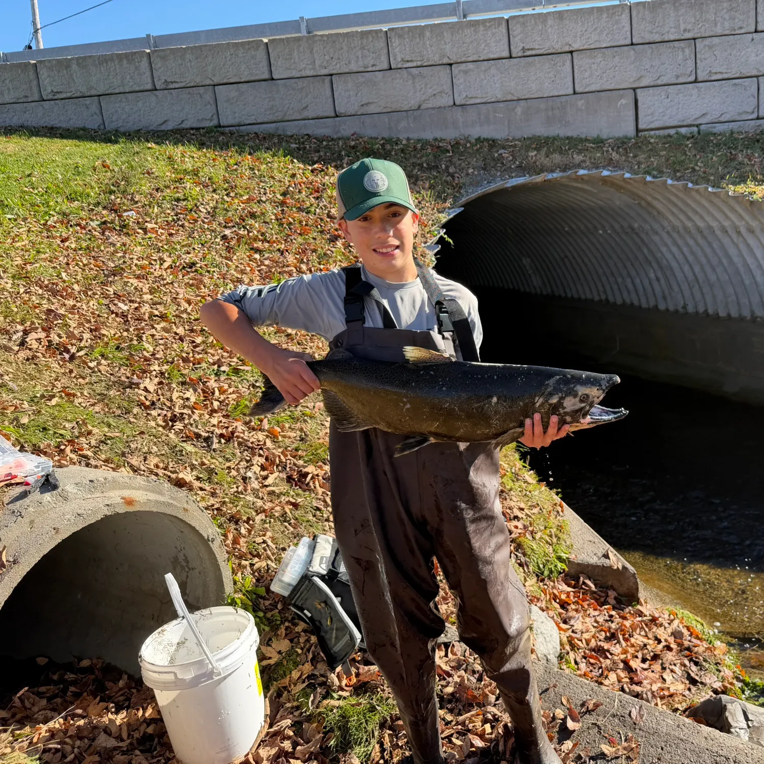 Chinook salmon caught on Fishbrain
