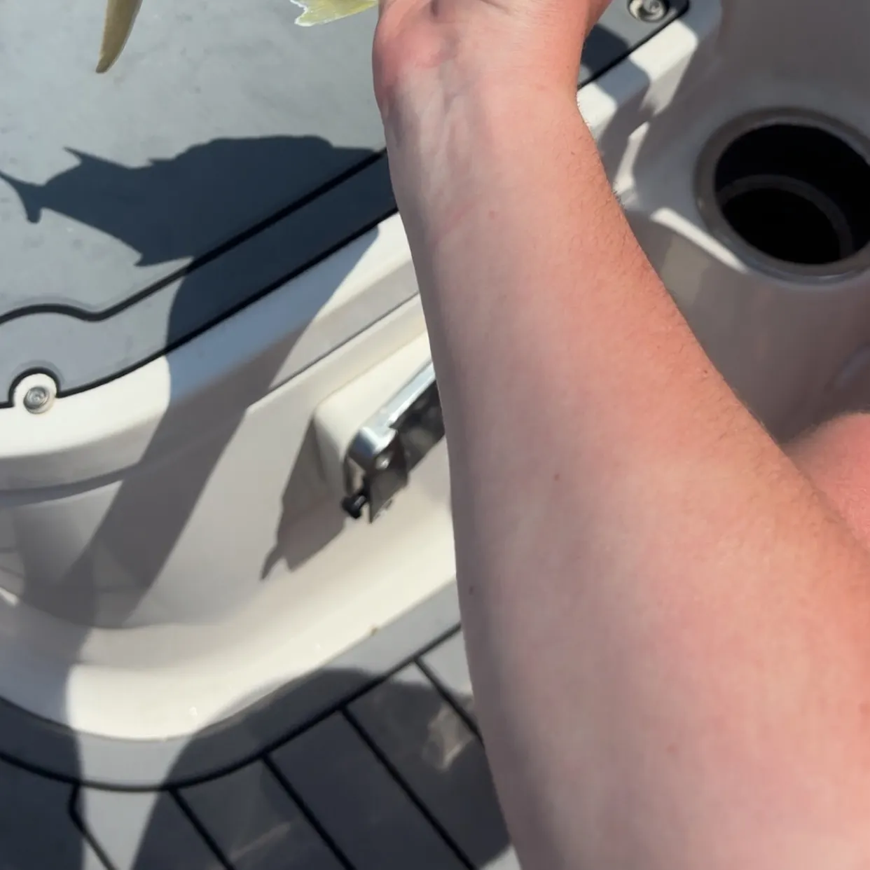 The most recent Yellow jack catches on Fishbrain