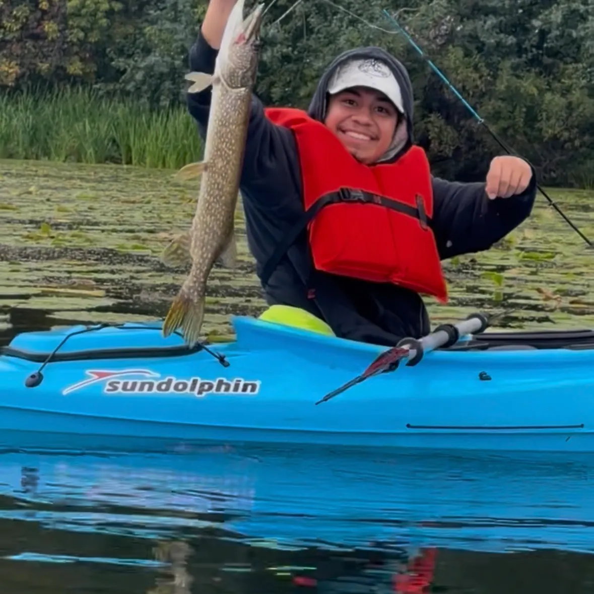 Northern pike caught on Fishbrain