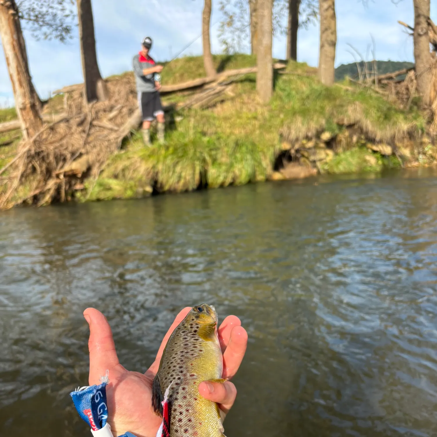 Brown trout caught on Fishbrain