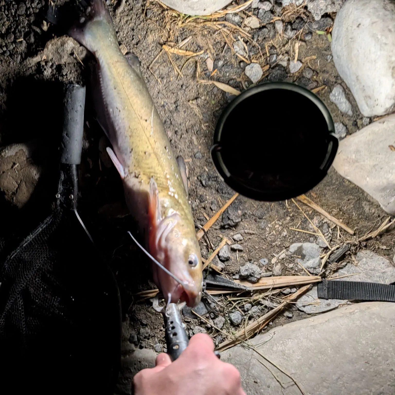 catch
