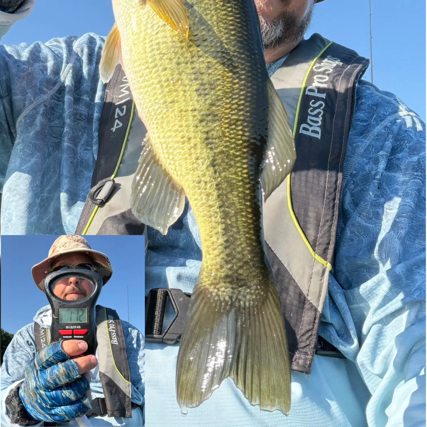 Largemouth bass caught on Fishbrain