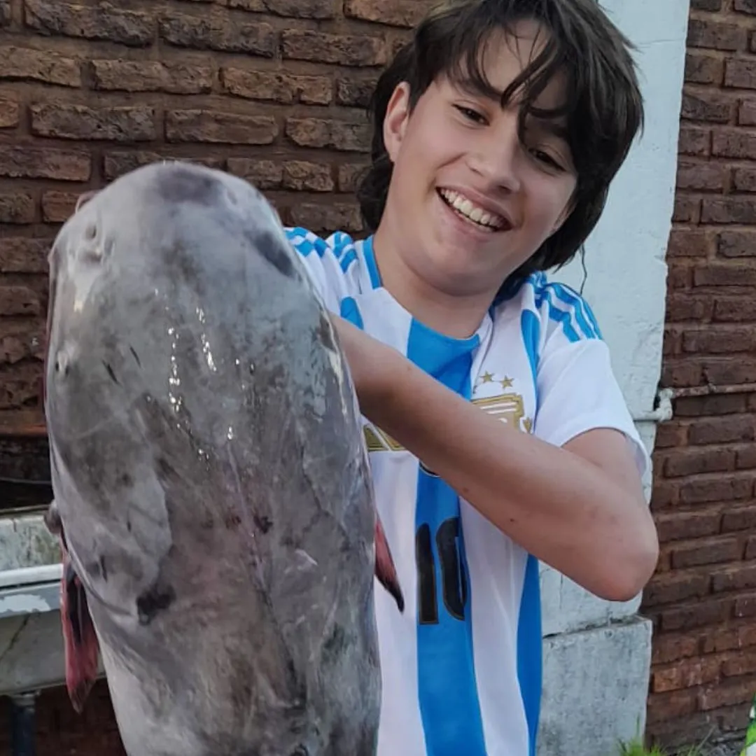 The most popular recent Spotted sea catfish catch on Fishbrain