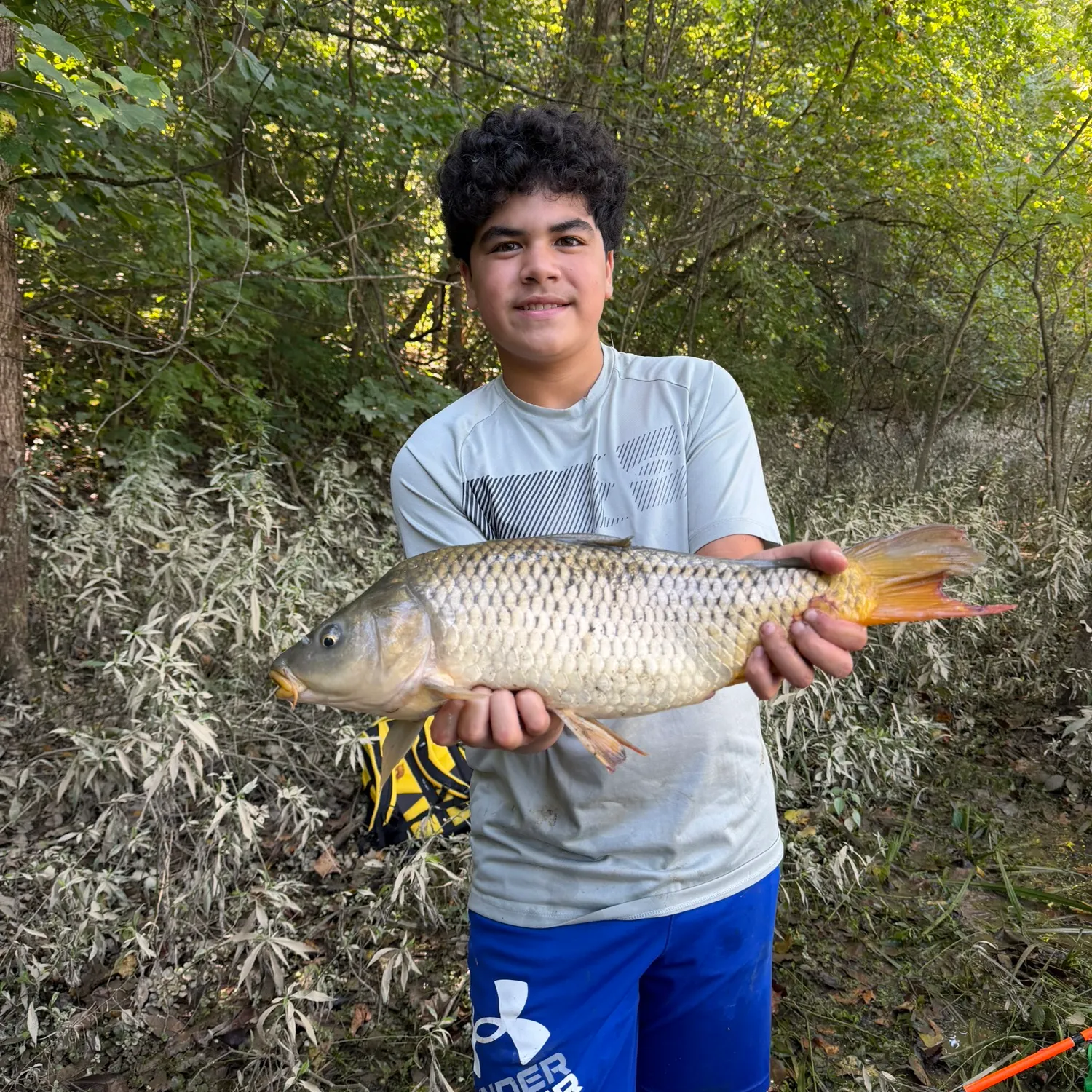 Common carp caught on Fishbrain