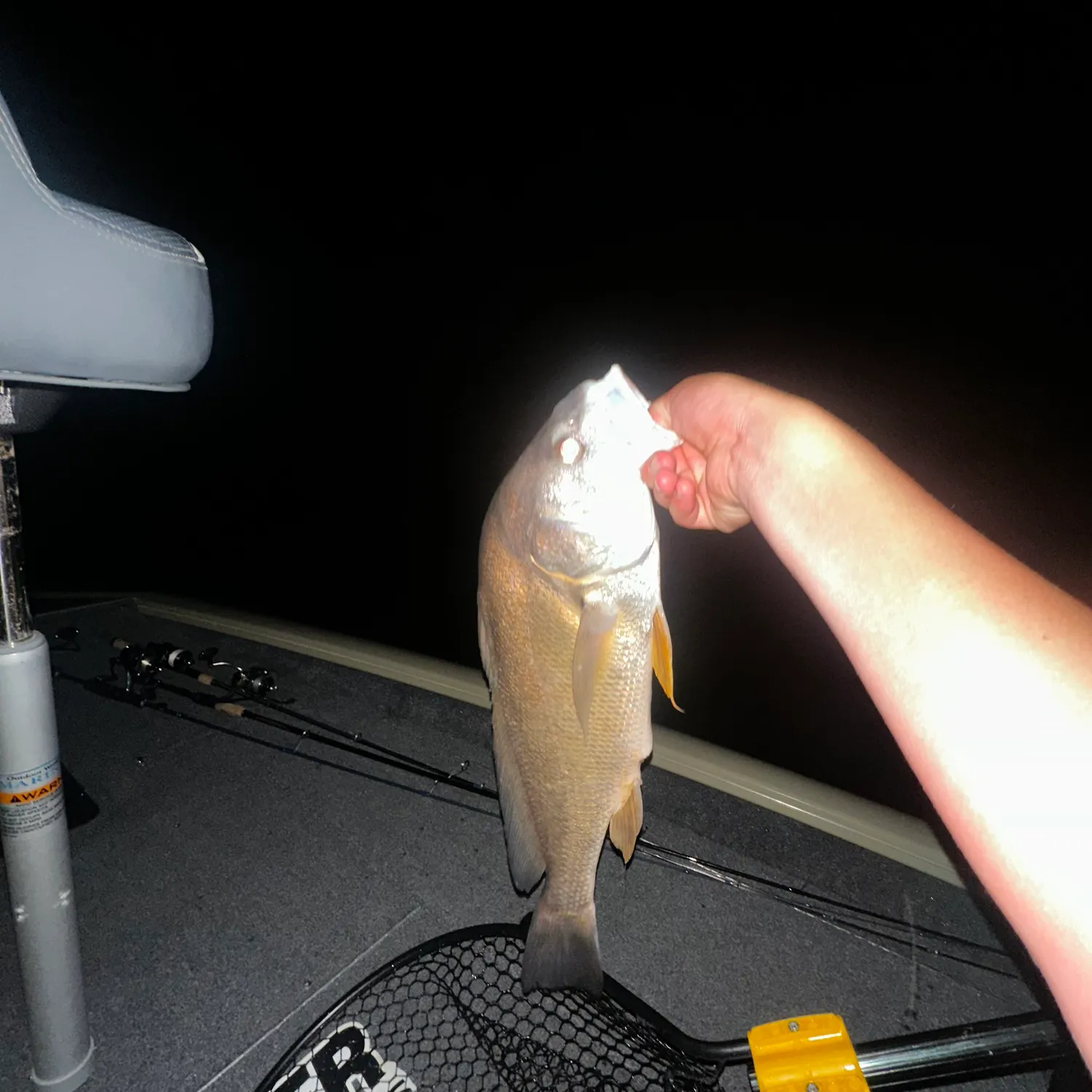 Fish caught on Fishbrain