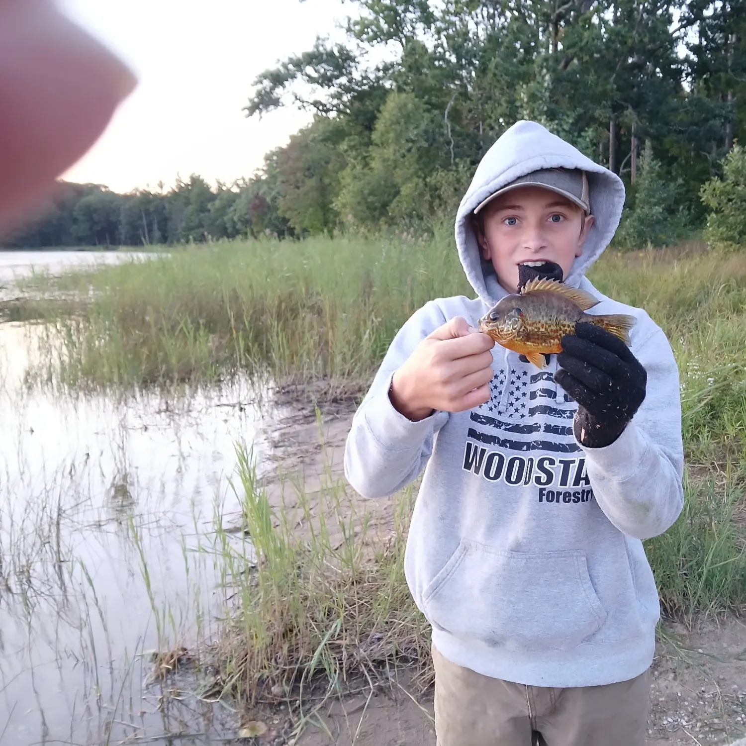 The most recent Redear sunfish catches on Fishbrain