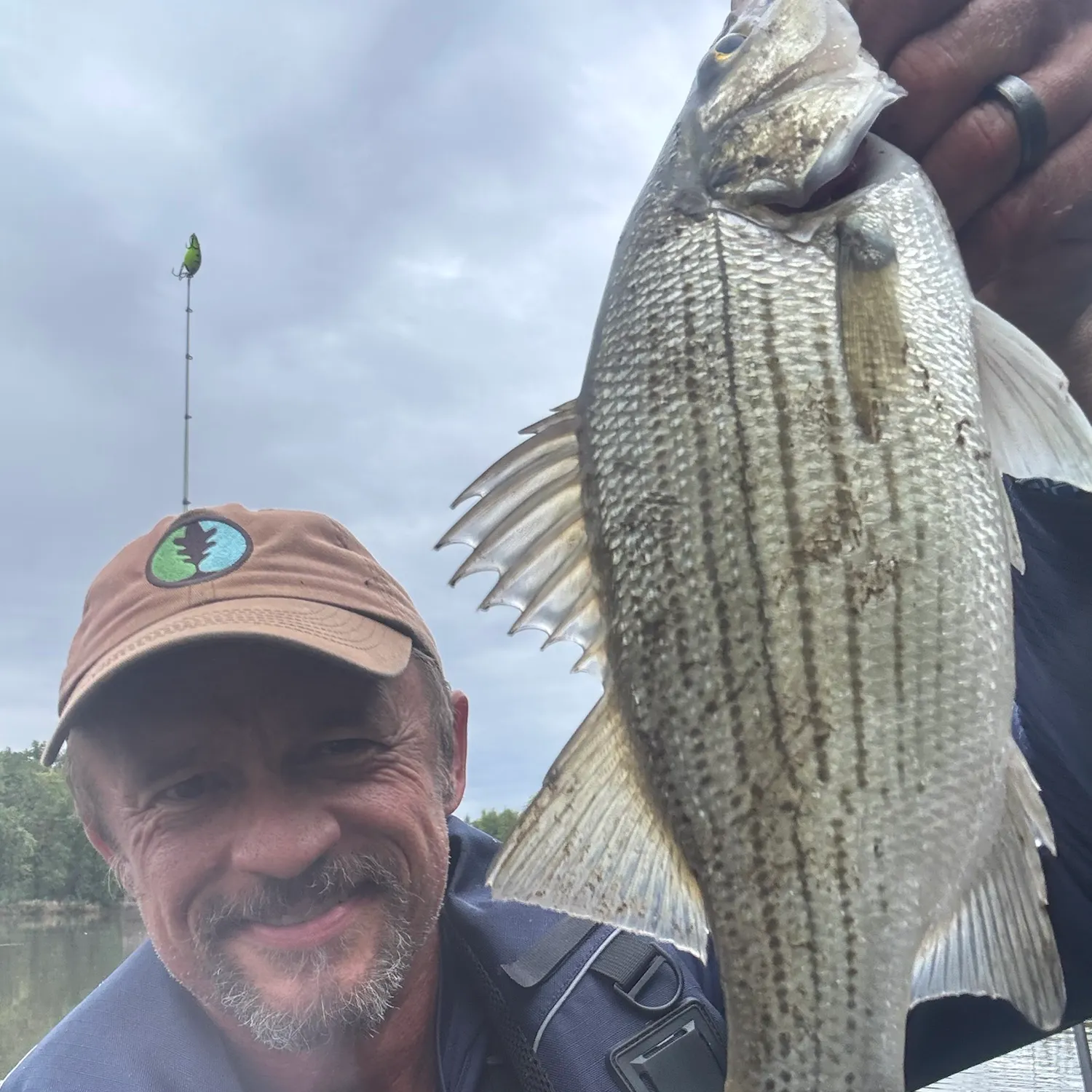 Wiper caught on Fishbrain