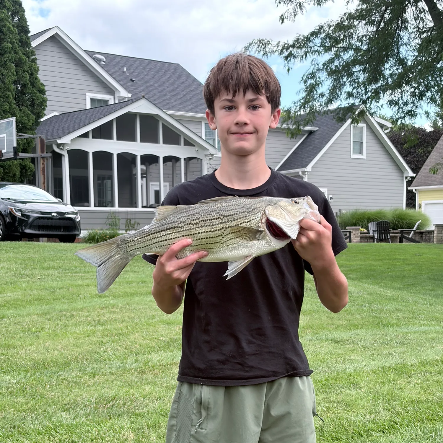 recently logged catches