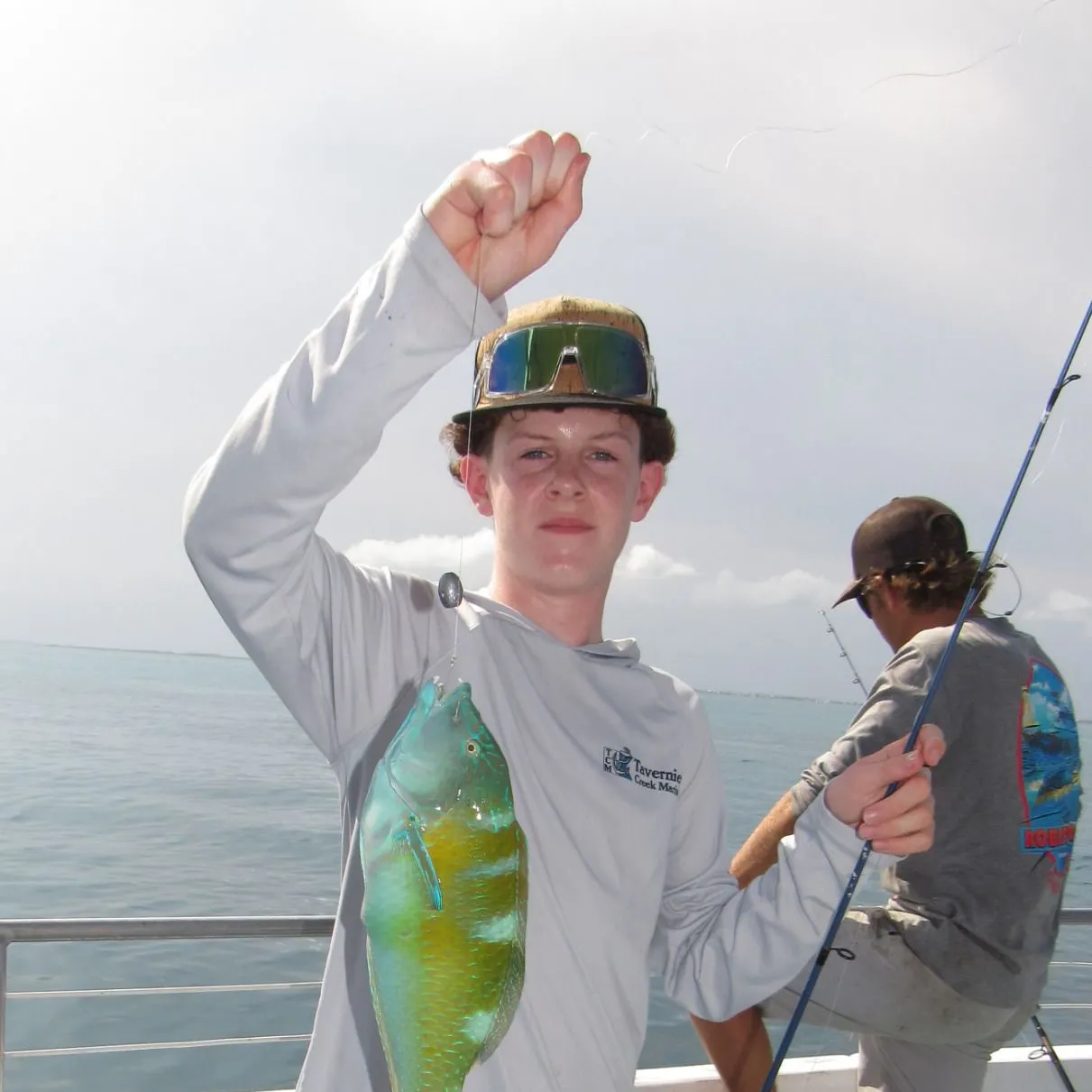 The most recent Puddingwife wrasse catches on Fishbrain