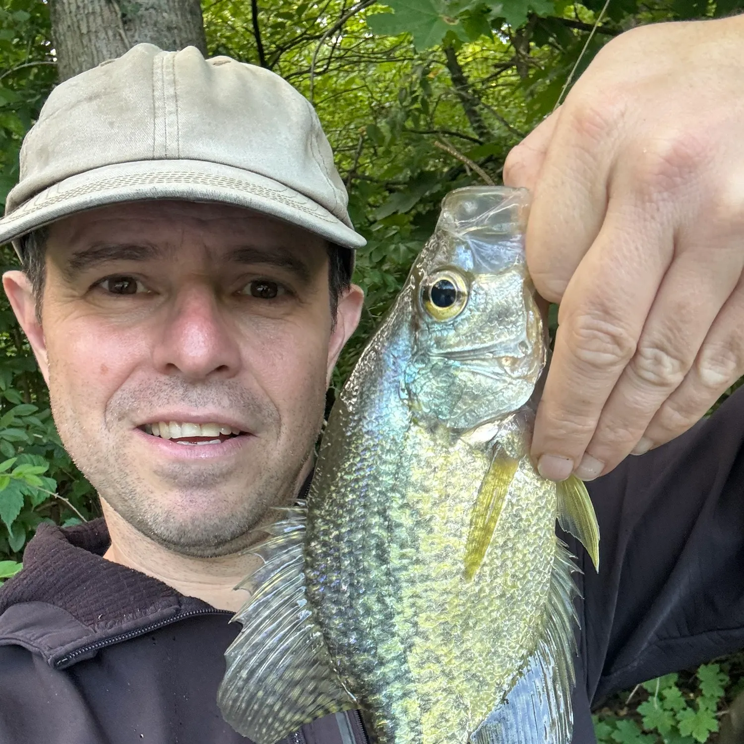 Black crappie caught on Fishbrain