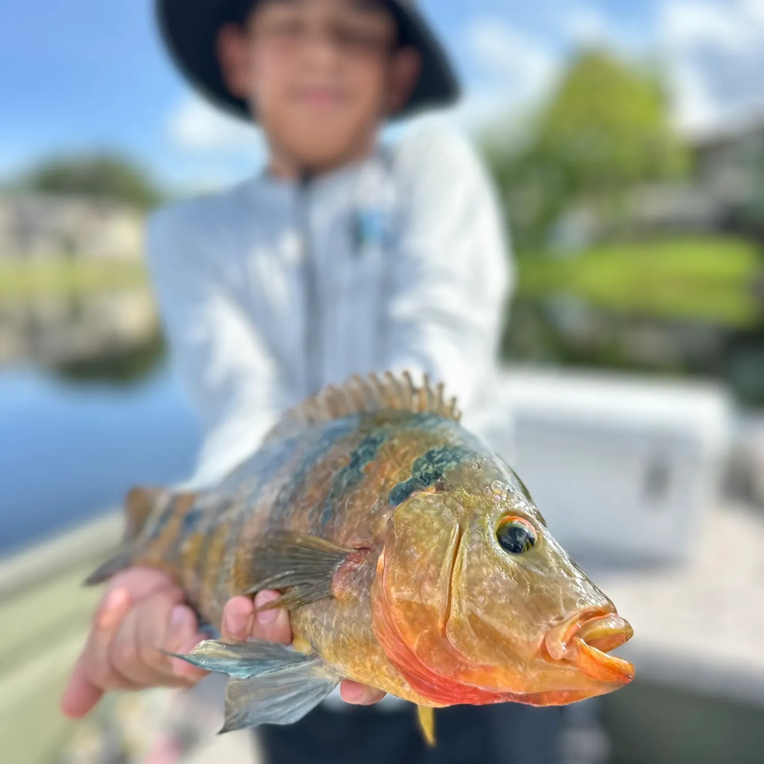 catch