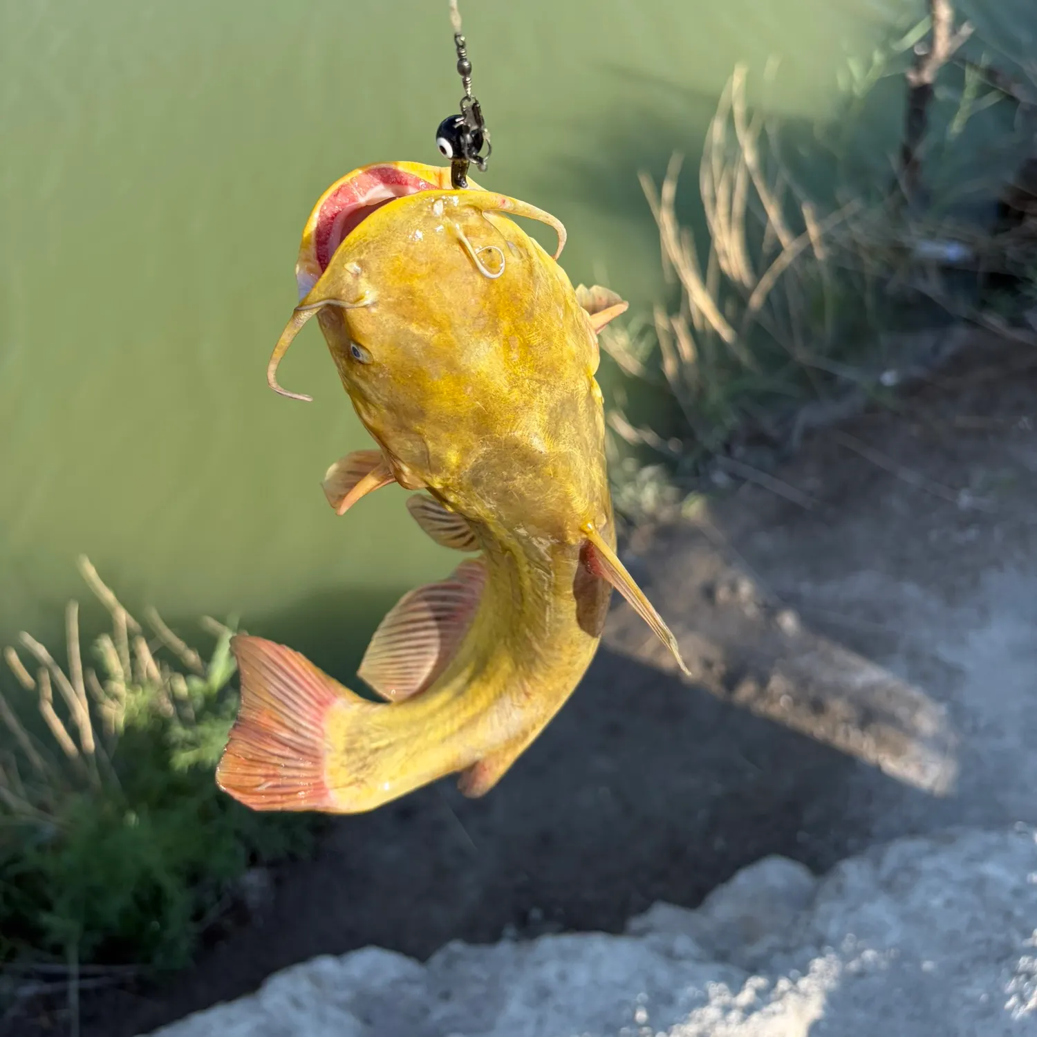 catch