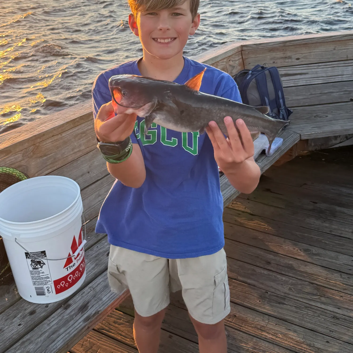 White bullhead caught on Fishbrain