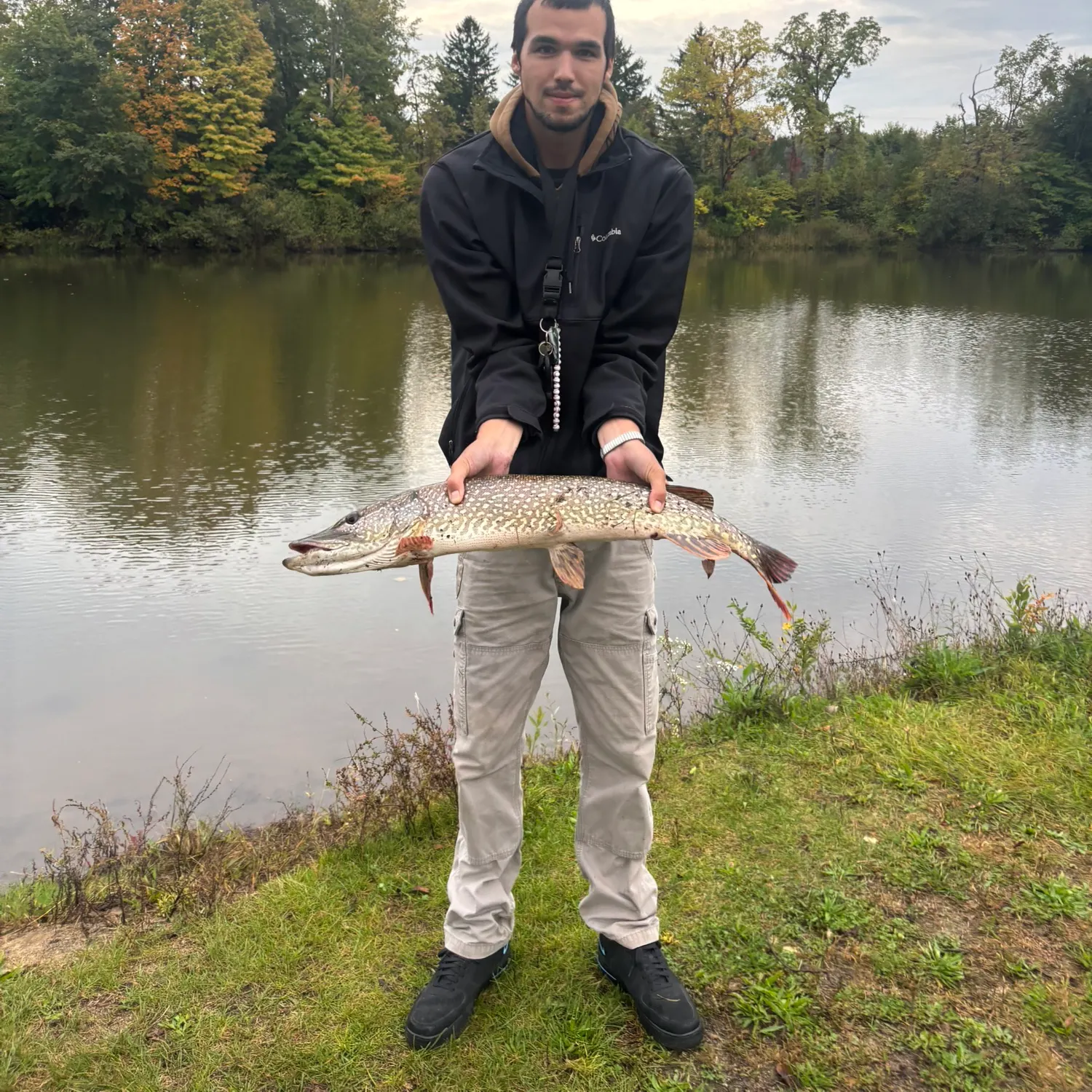 Northern pike caught on Fishbrain
