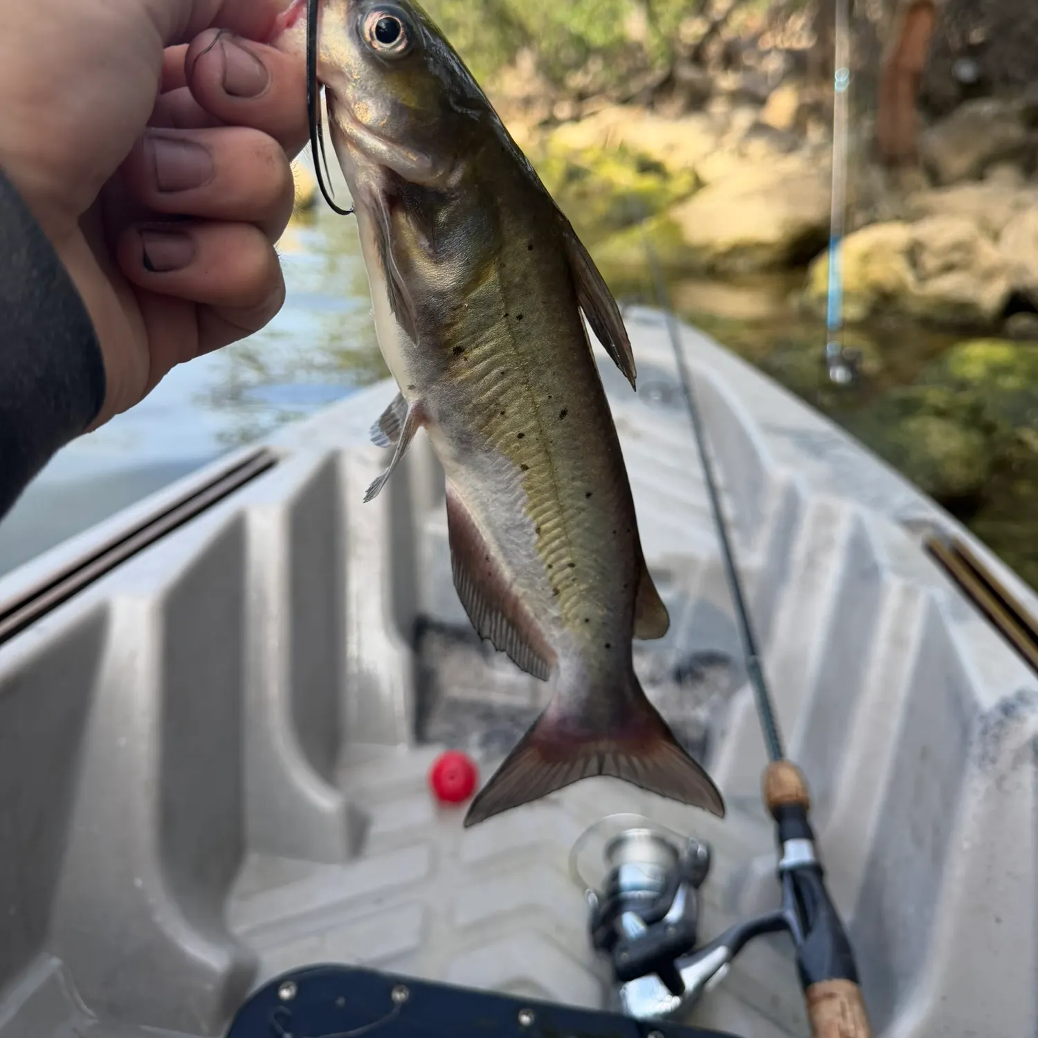 catch