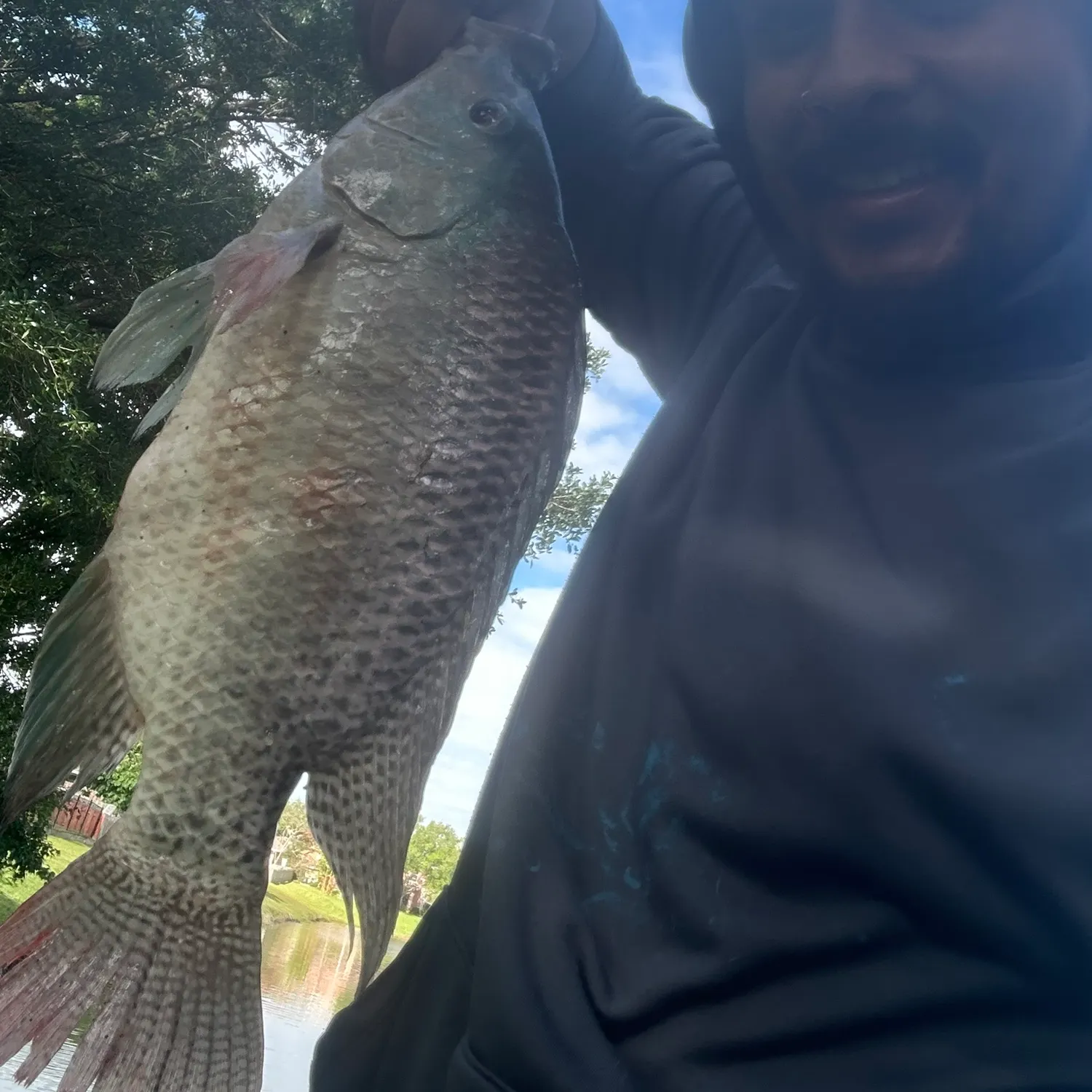 The most recent Nile tilapia catches on Fishbrain