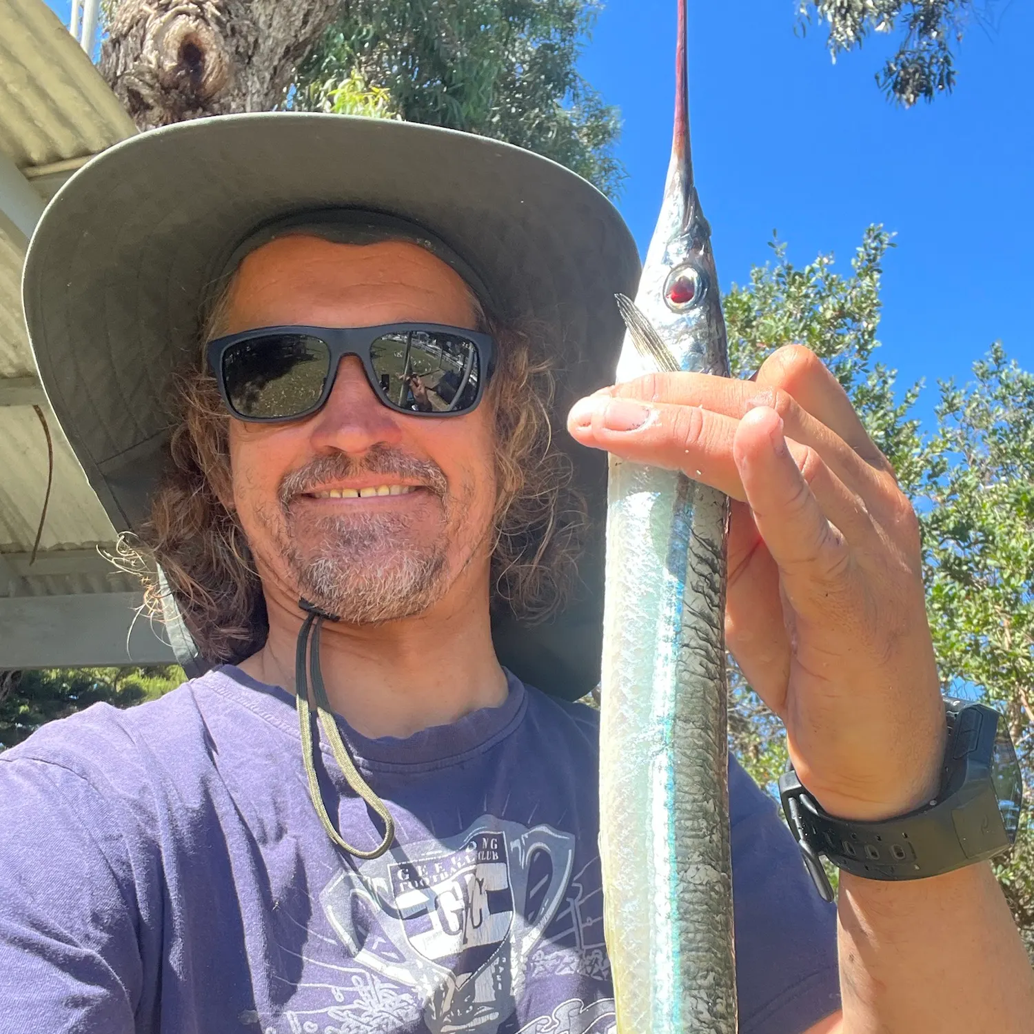 Southern garfish caught on Fishbrain
