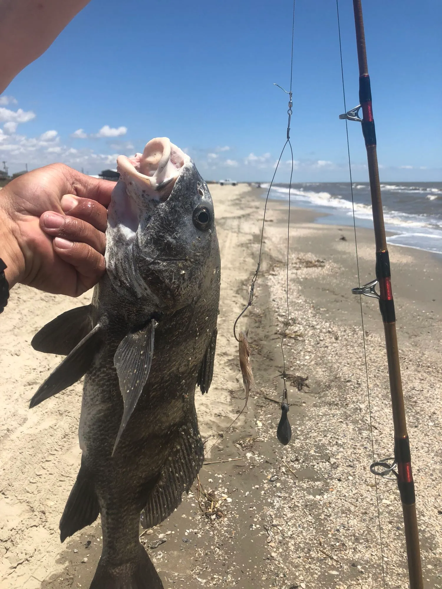 Post image from isaiaslebaron