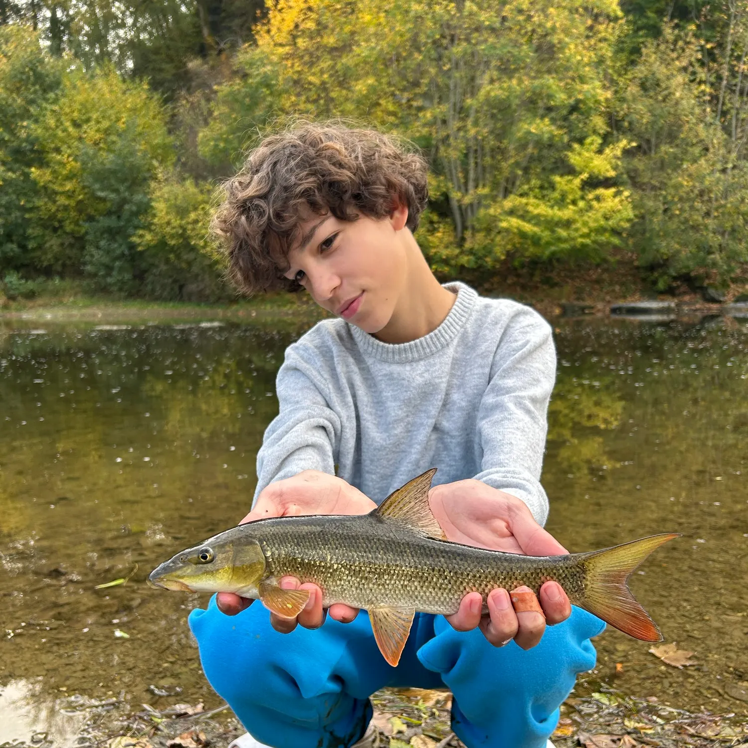 Common barbel caught on Fishbrain