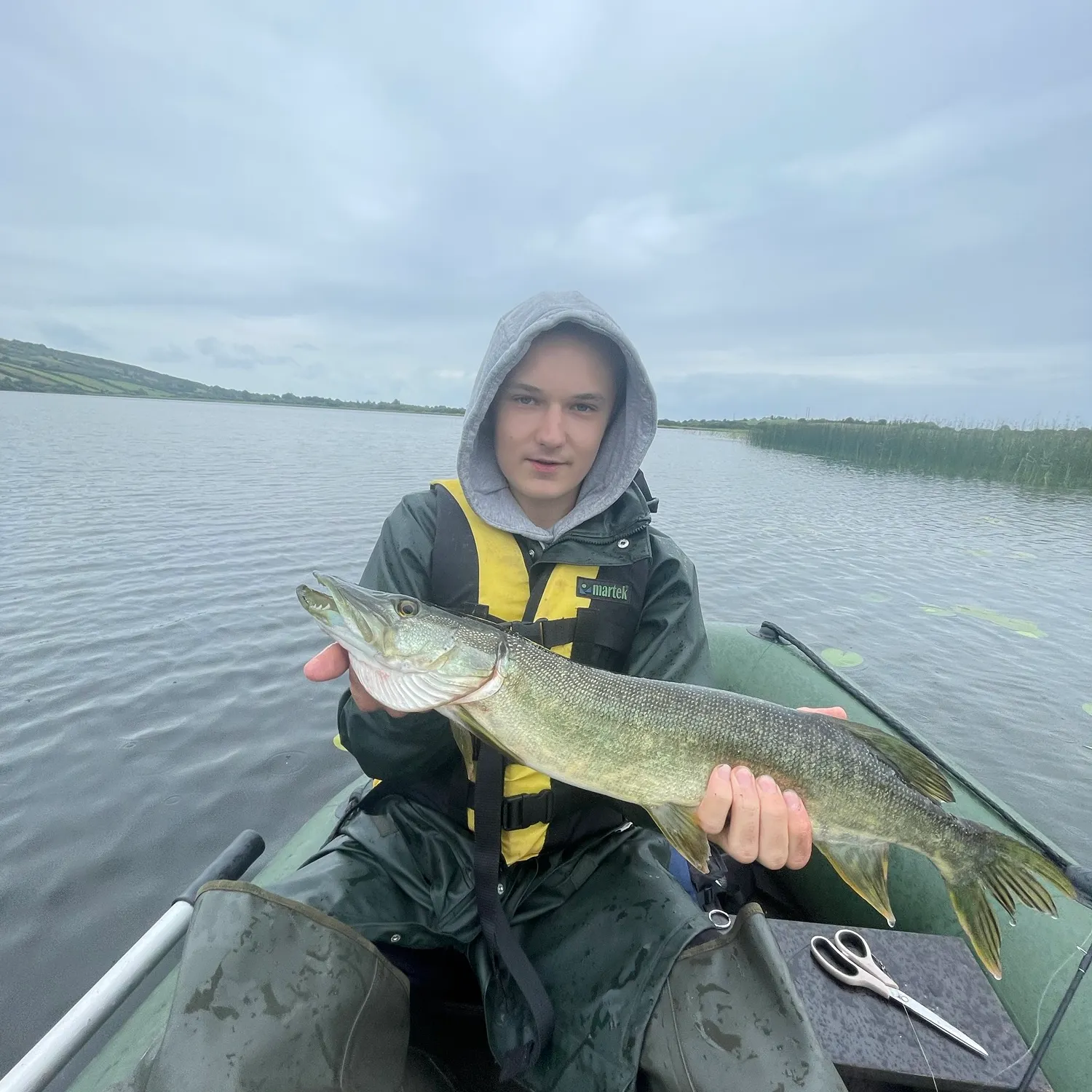 Northern pike caught on Fishbrain