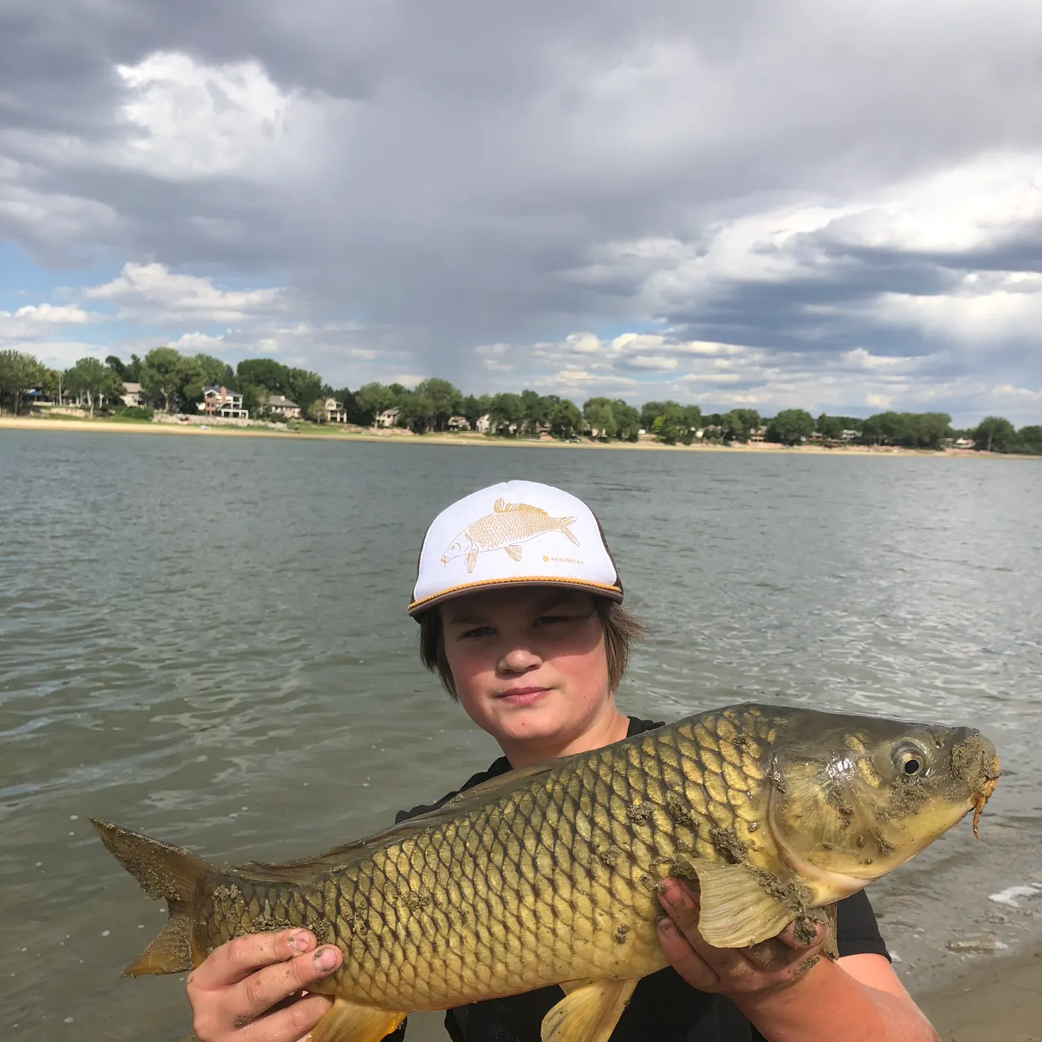 Common carp caught on Fishbrain