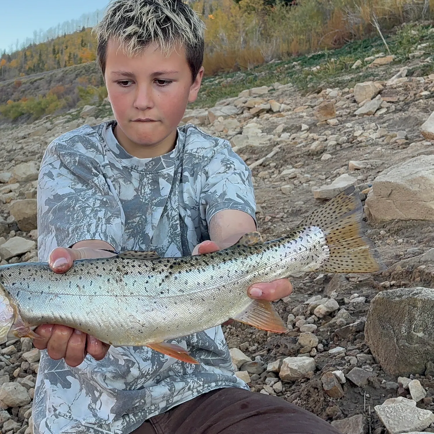 Bear Lake cutthroat trout caught on Fishbrain