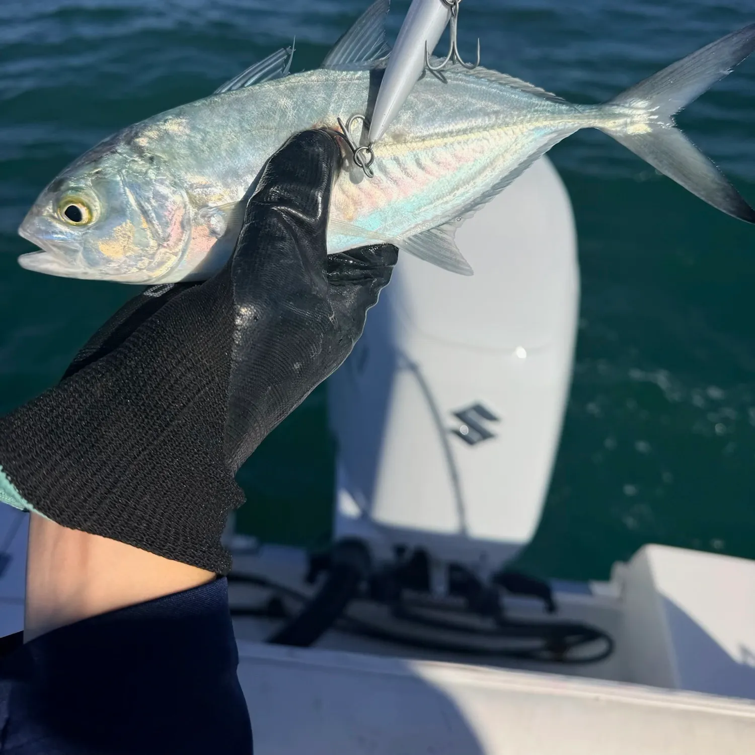 The most recent Blue runner catches on Fishbrain