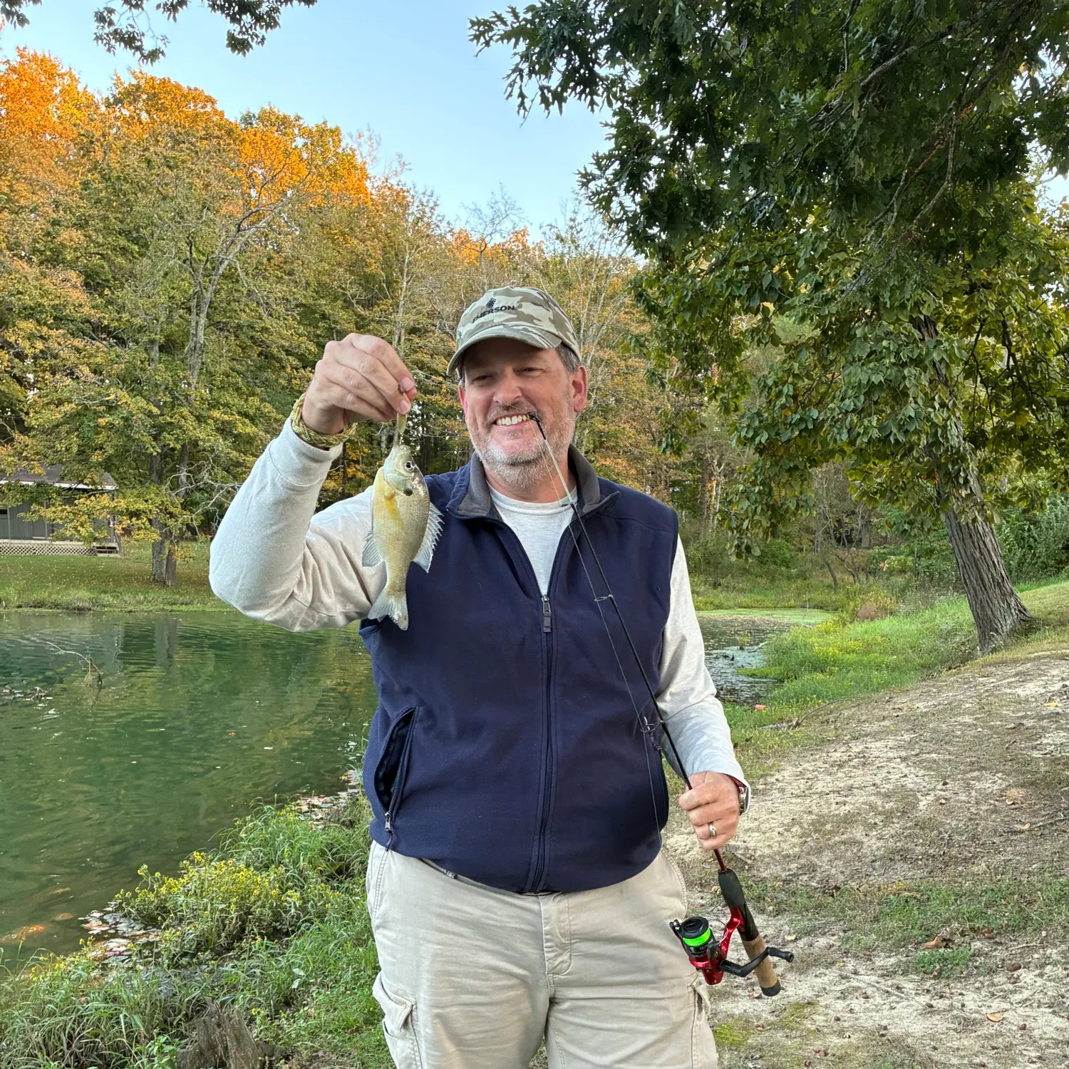 Bluegill caught on Fishbrain
