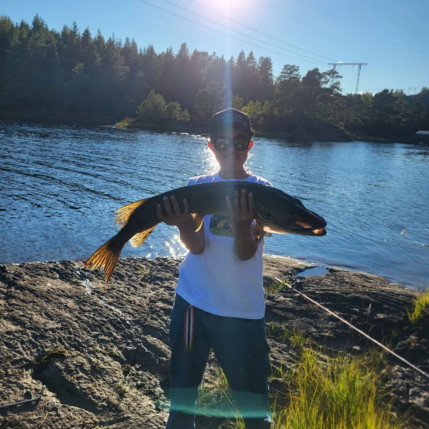 Northern pike caught on Fishbrain