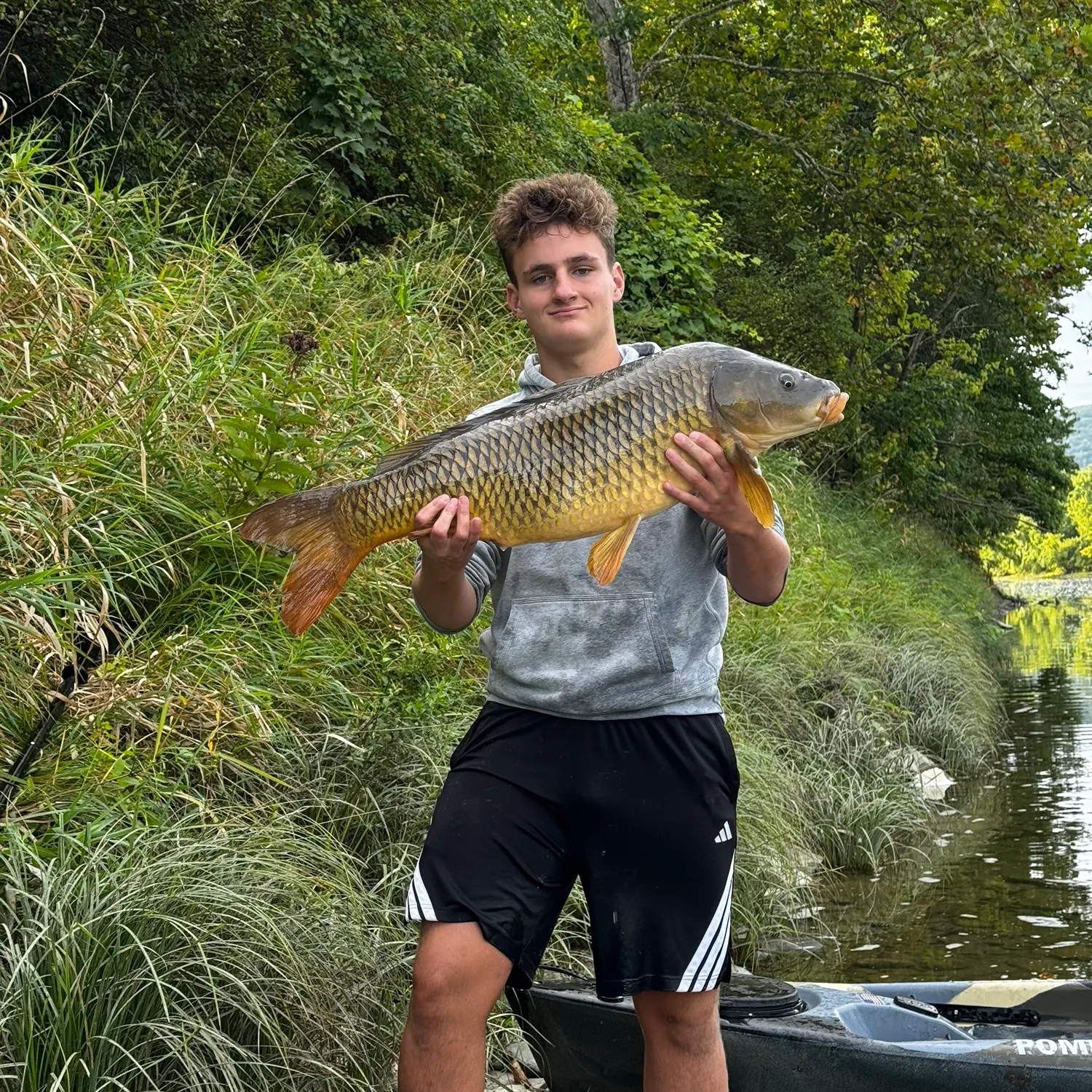 Common carp caught on Fishbrain