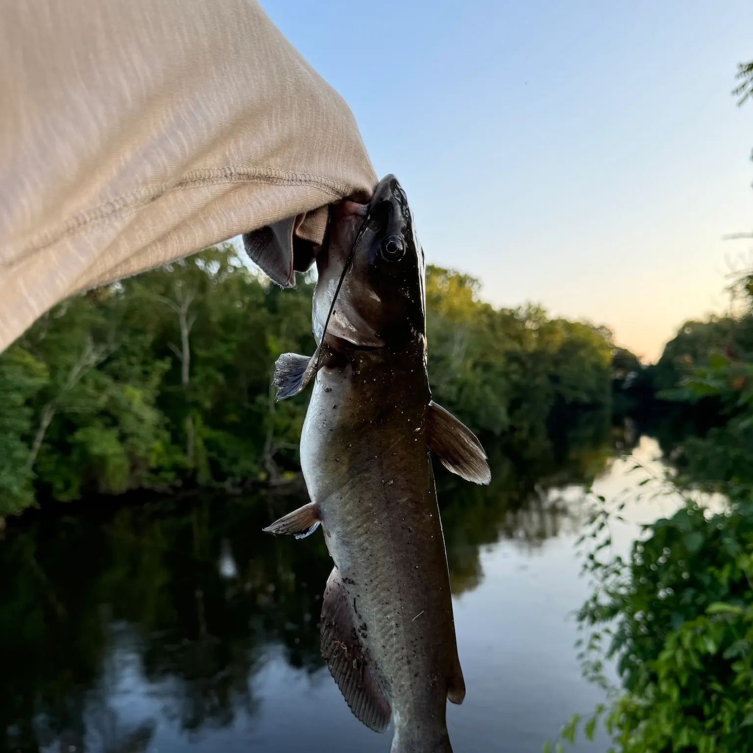 catch