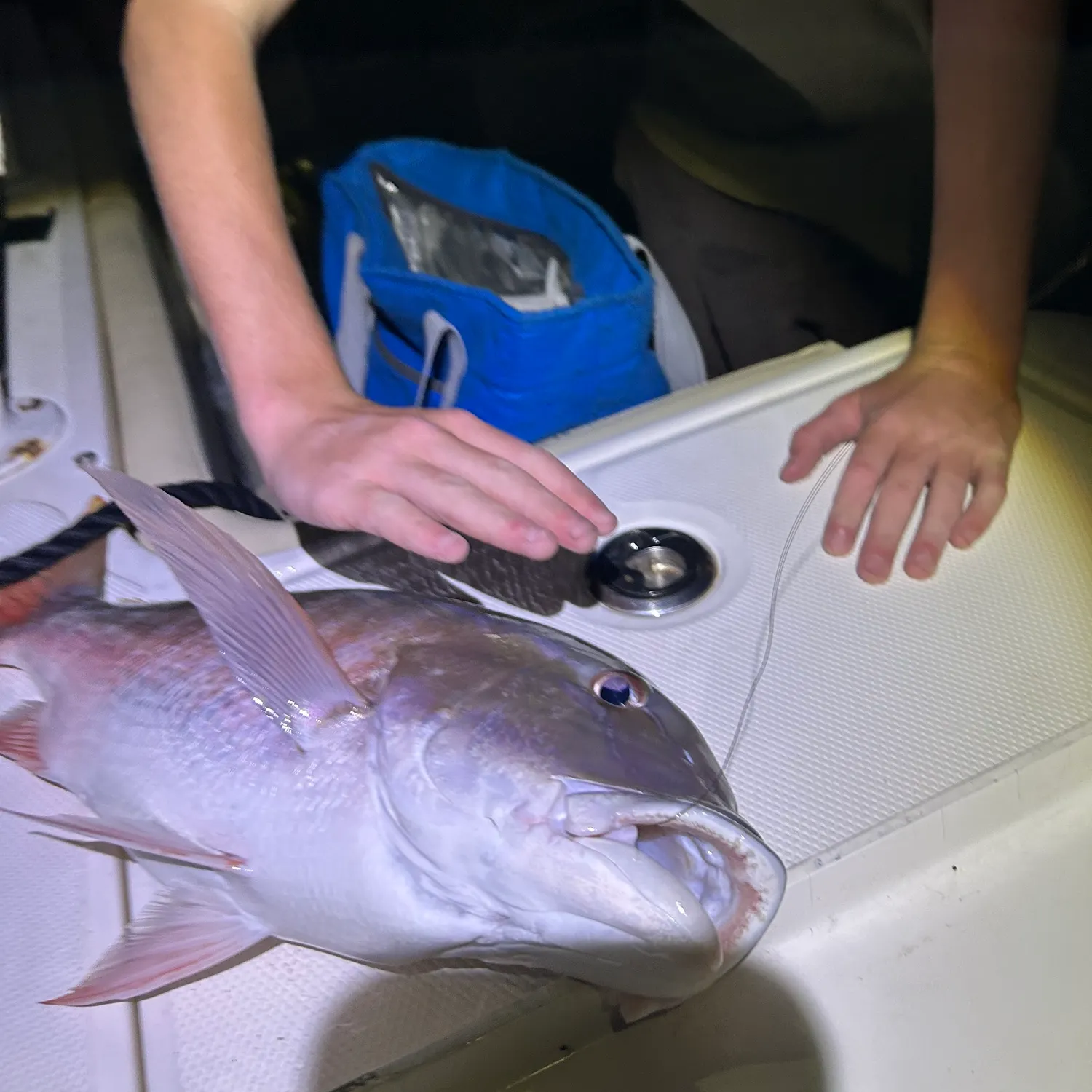 Mutton snapper caught on Fishbrain